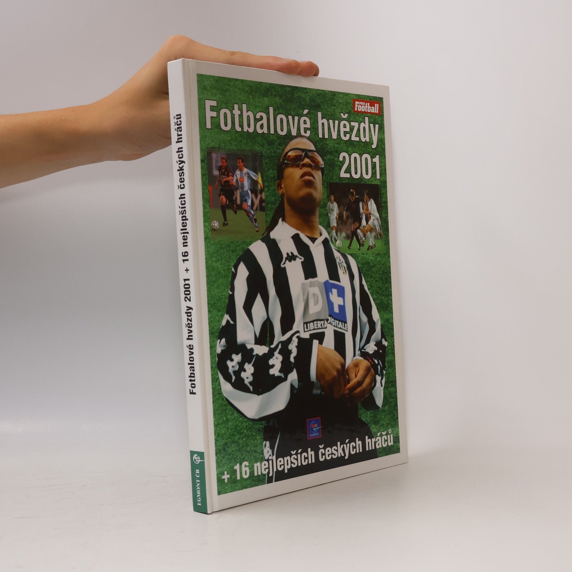 Fotbalové hvězdy 2001