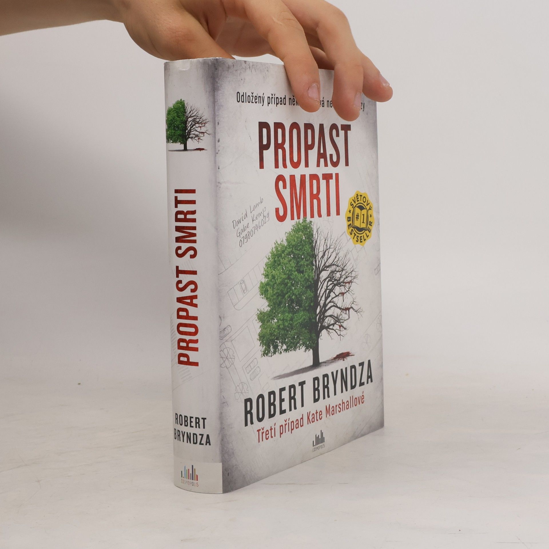 Robert Bryndza Propast smrti