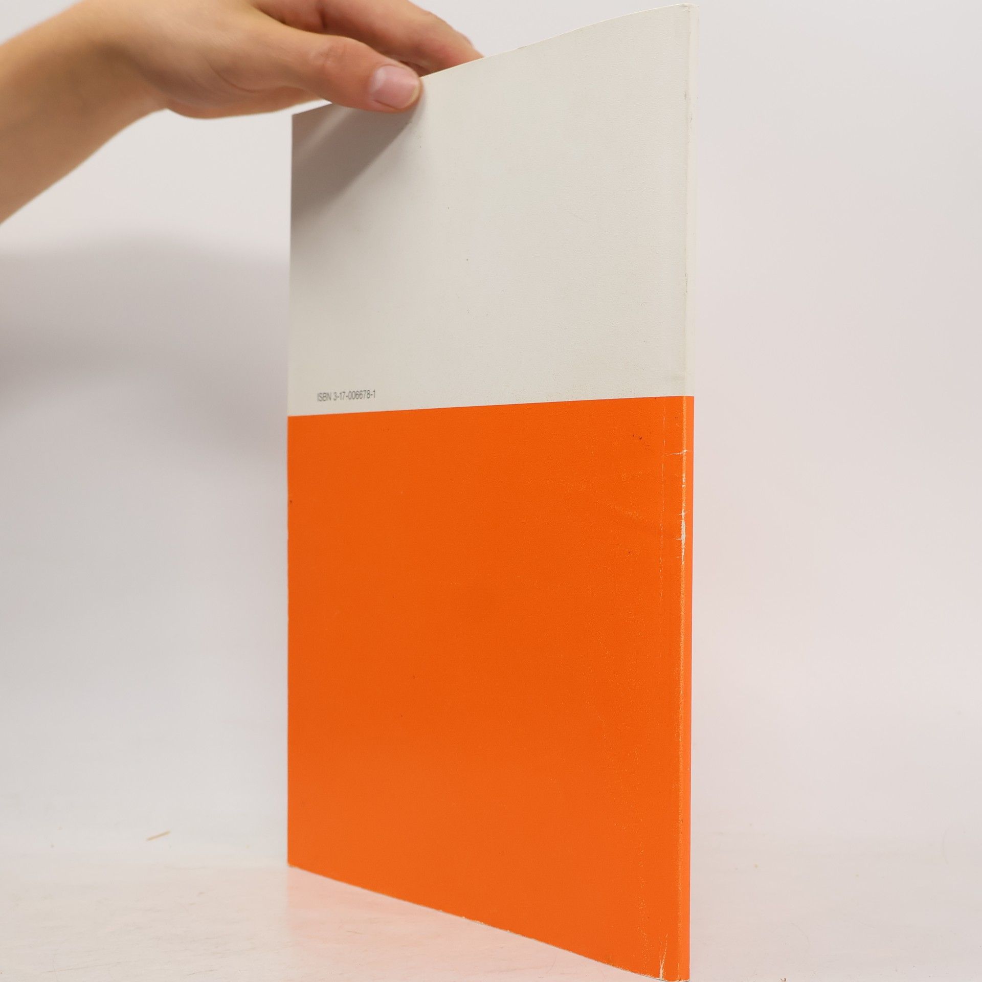 Fridbert Hanke Schriften des Deutschen Vereins für öffentliche und private Fürsorge / Grosse Reihe II - Materialien für die Sozialpädagogische Praxis - 22: Mit Projekten den Hortalltag verändern