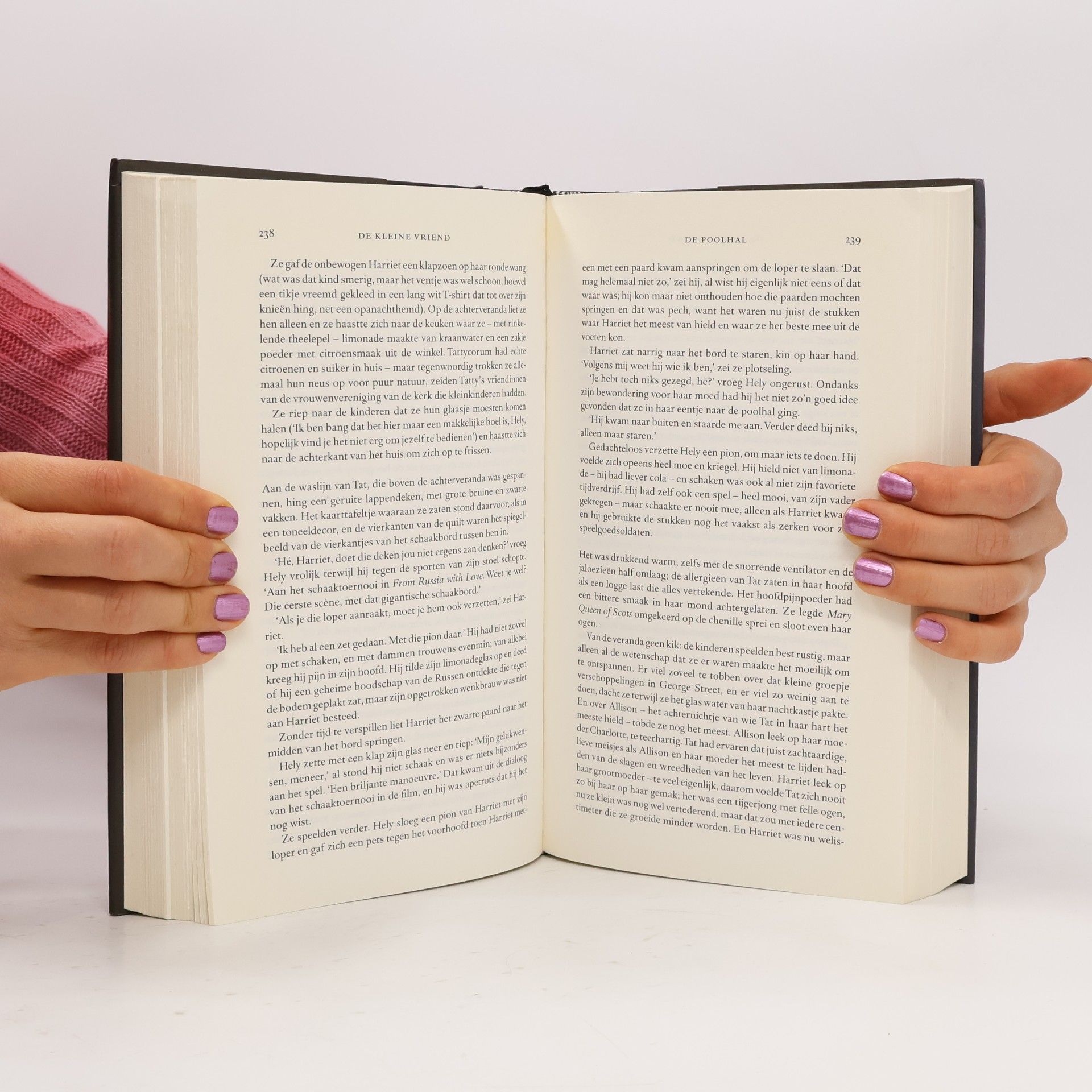 Donna Tartt De kleine Vriend