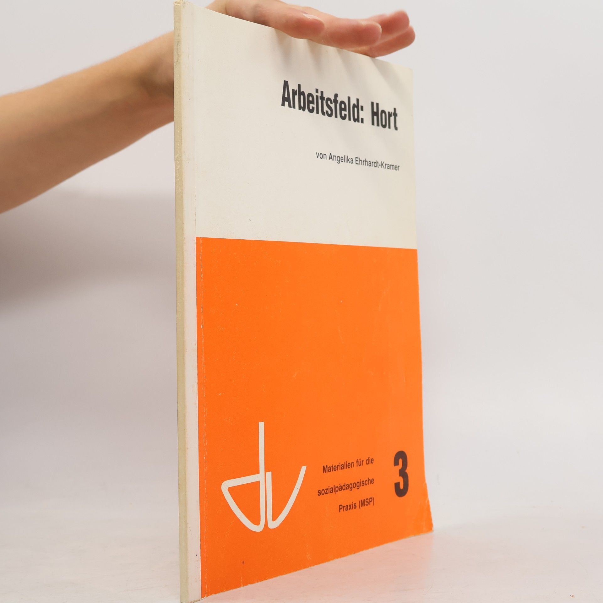 Schriften des Deutschen Vereins für öffentliche und private Fürsorge / Grosse Reihe II - Materialien für die Sozialpädagogische Praxis - 3: Arbeitsfeld Hort