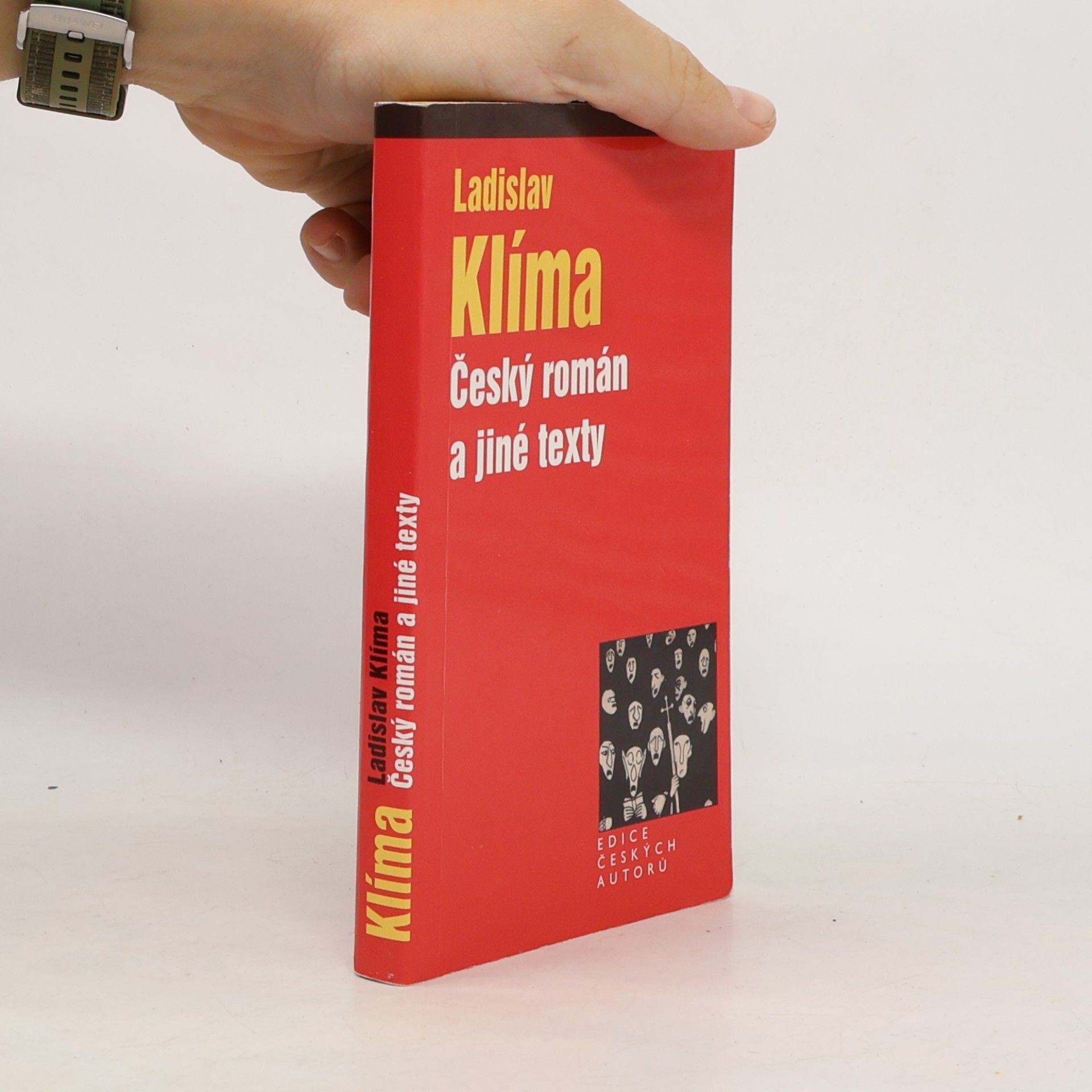 Český román a jiné texty