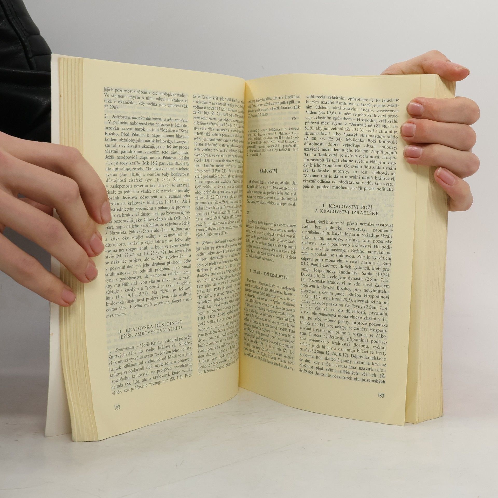 Autorenkollektiv Slovník biblické teologie