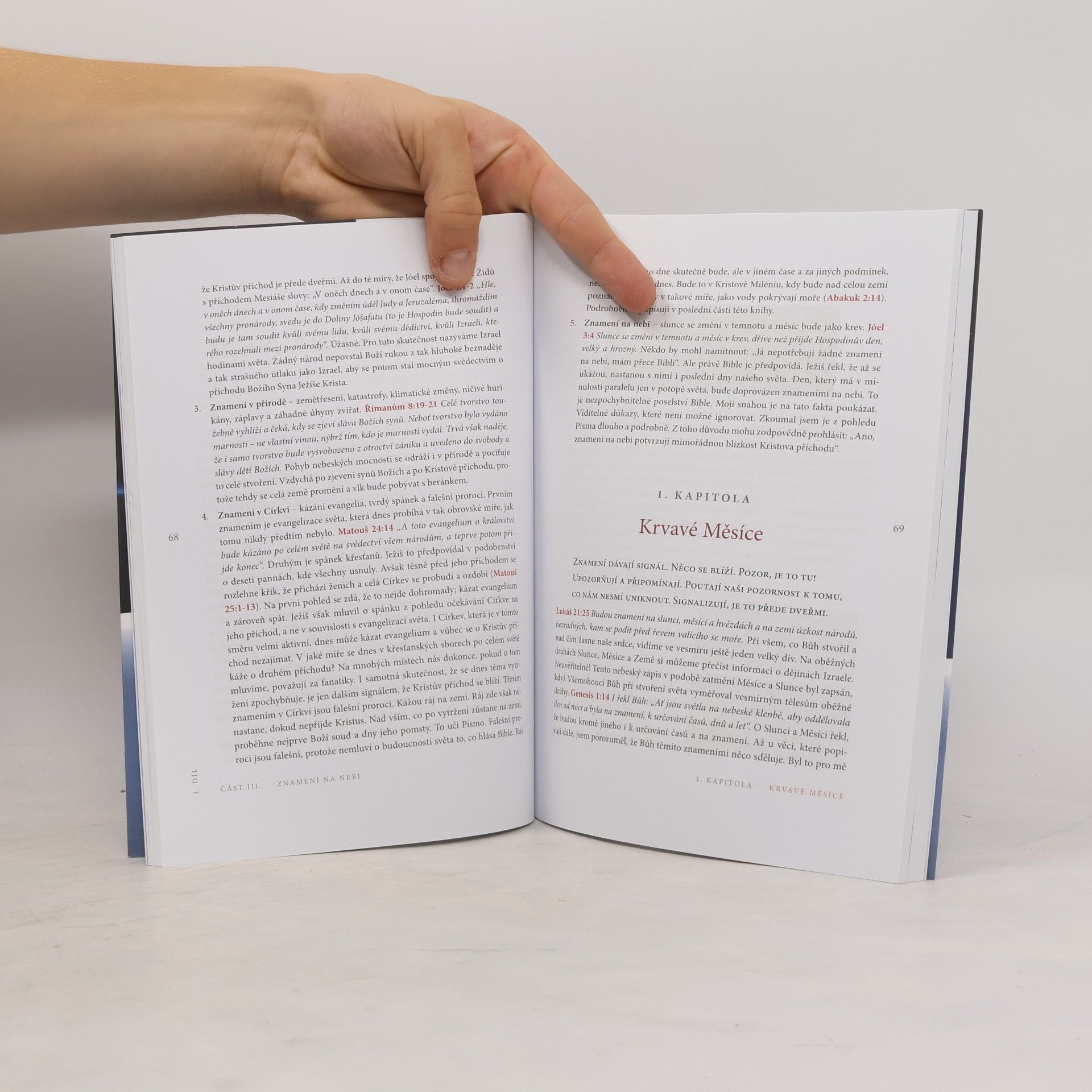 Sergej Miháľ Vytržení : tajemství Bible, které zatřese nebem i zemí