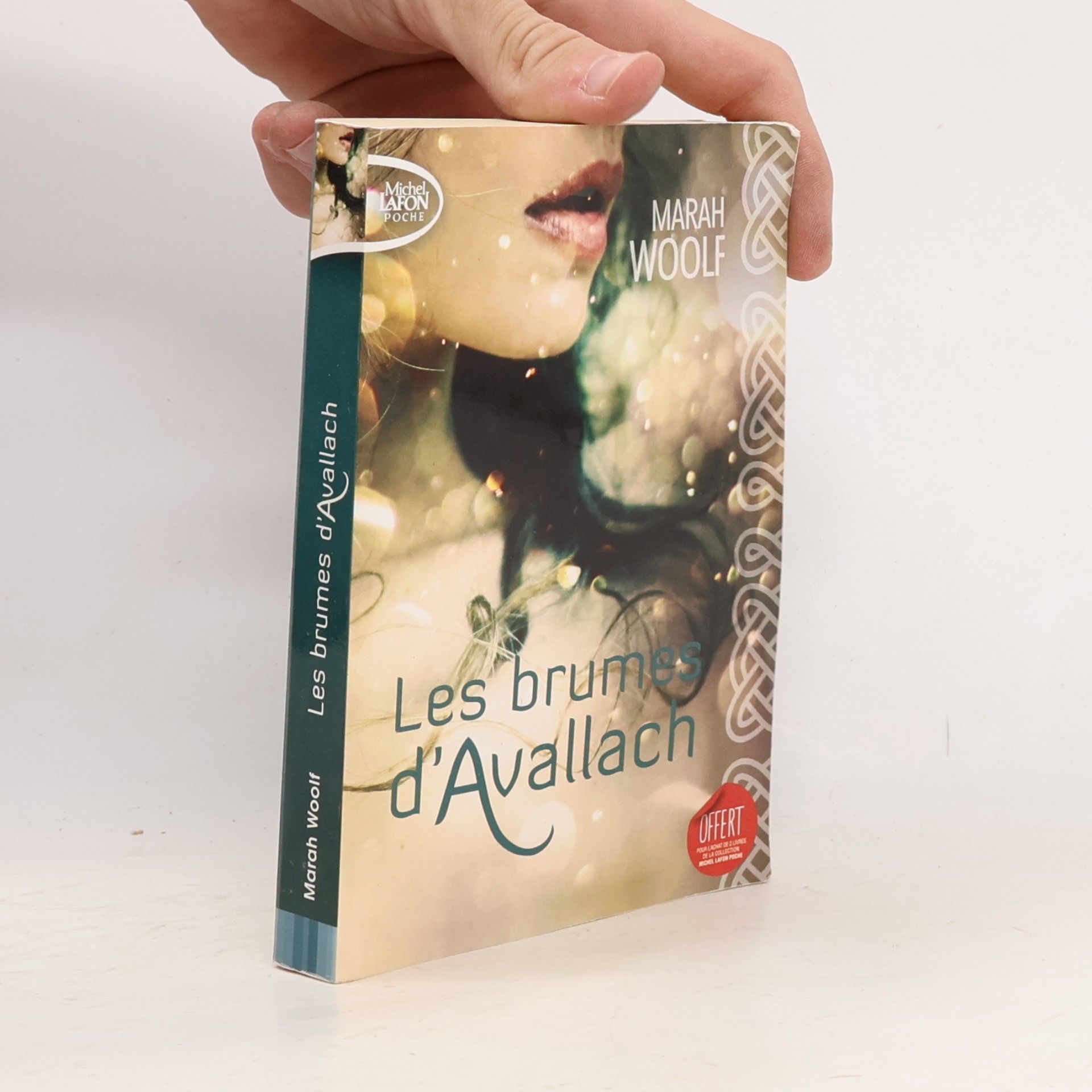 Les brumes d'Avallach