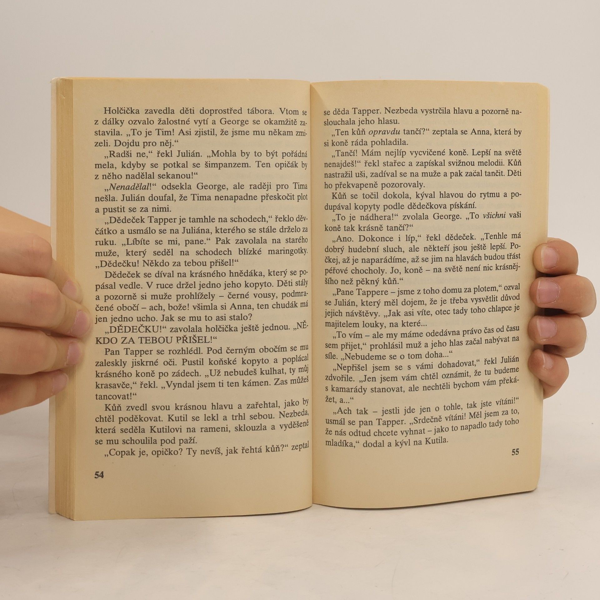 Enid Blyton Pětka a zloději