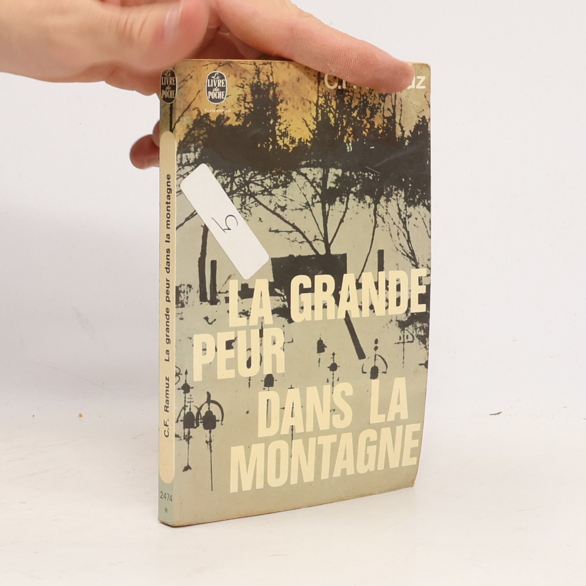 La grande peur dans la montagne