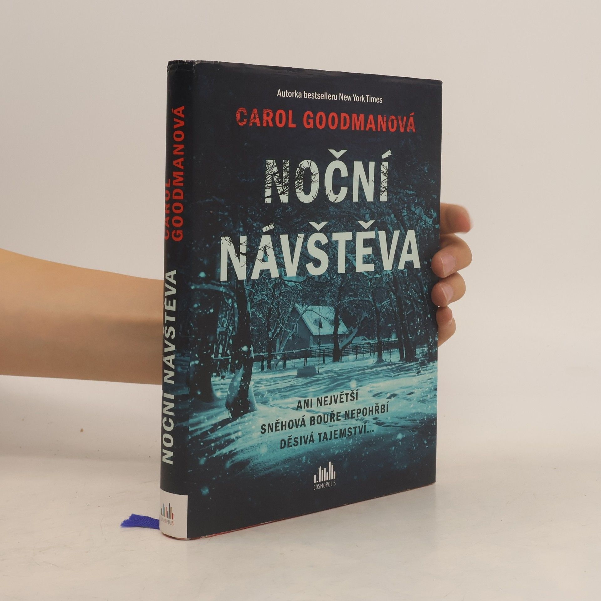 Noční návštěva