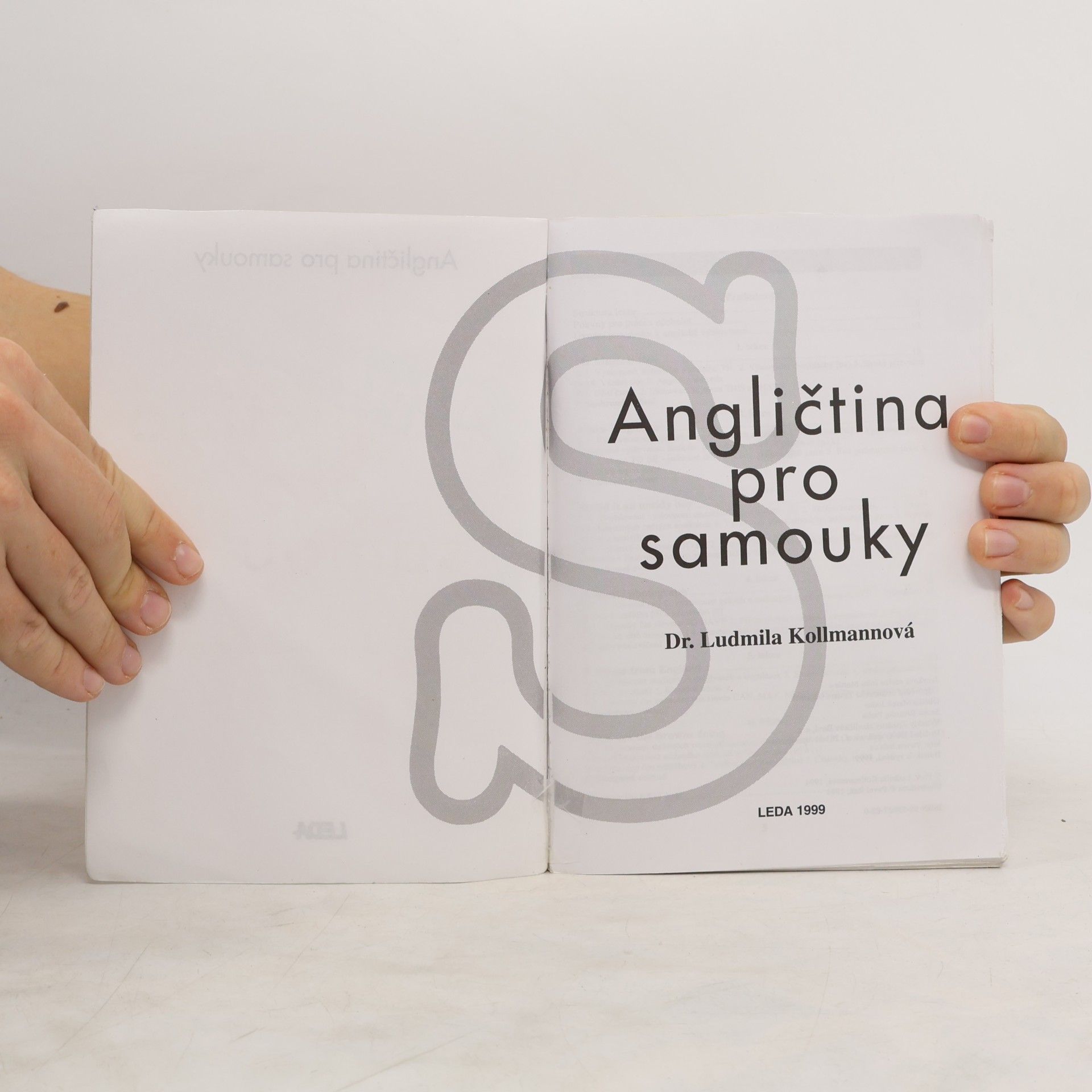 Ludmila Kollmannova Angličtina pro samouky