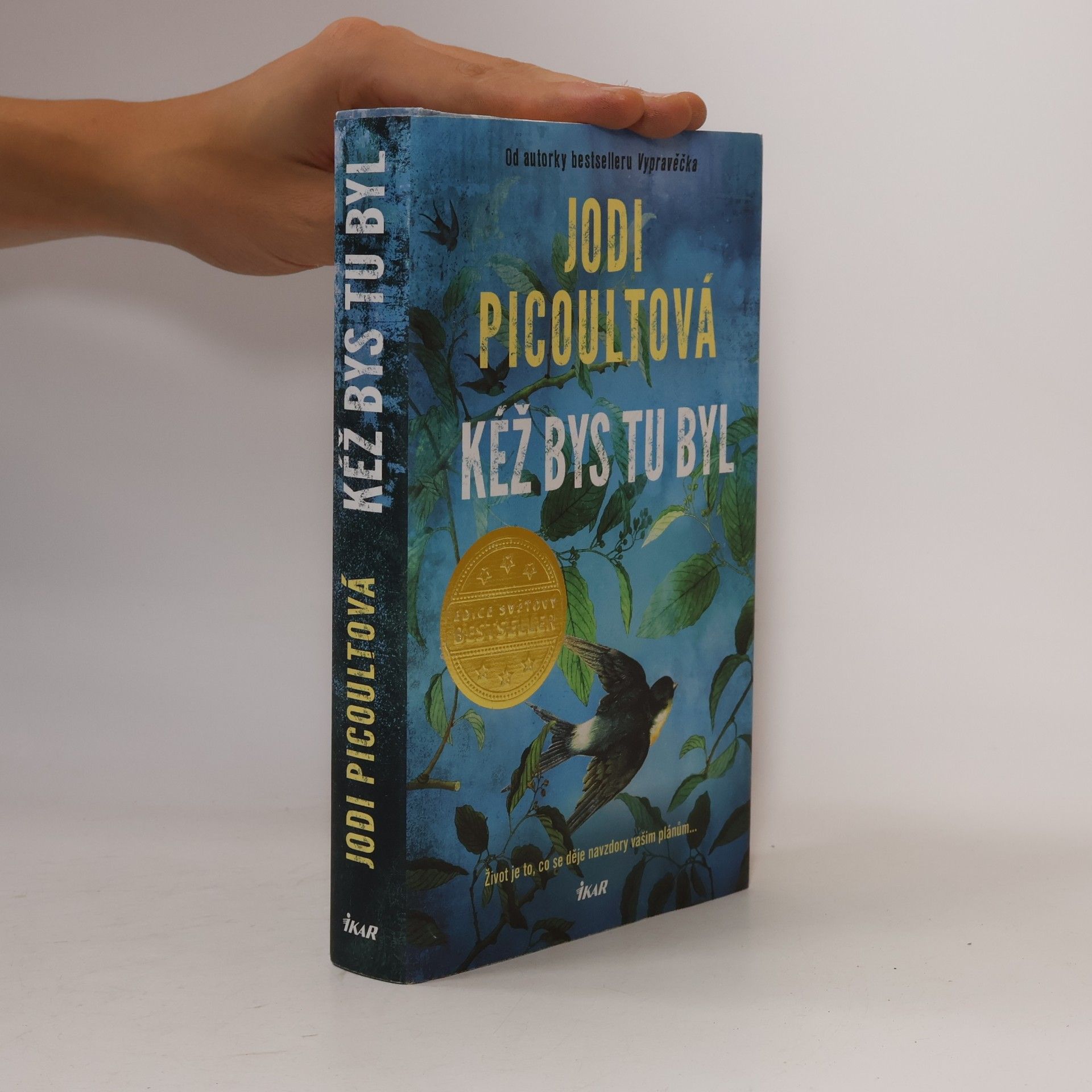 Jodi Picoult Kéž bys tu byl