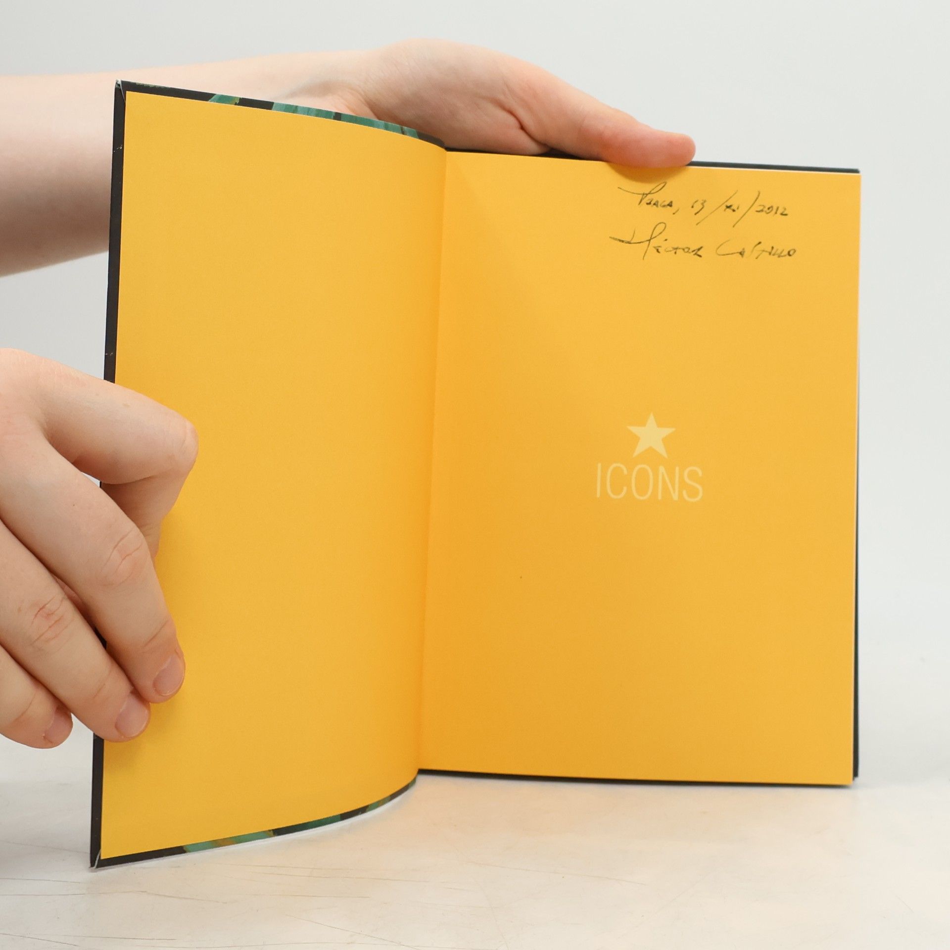 Petra LamersSchütze The book of fruits : The complete "Pomona Britannica"