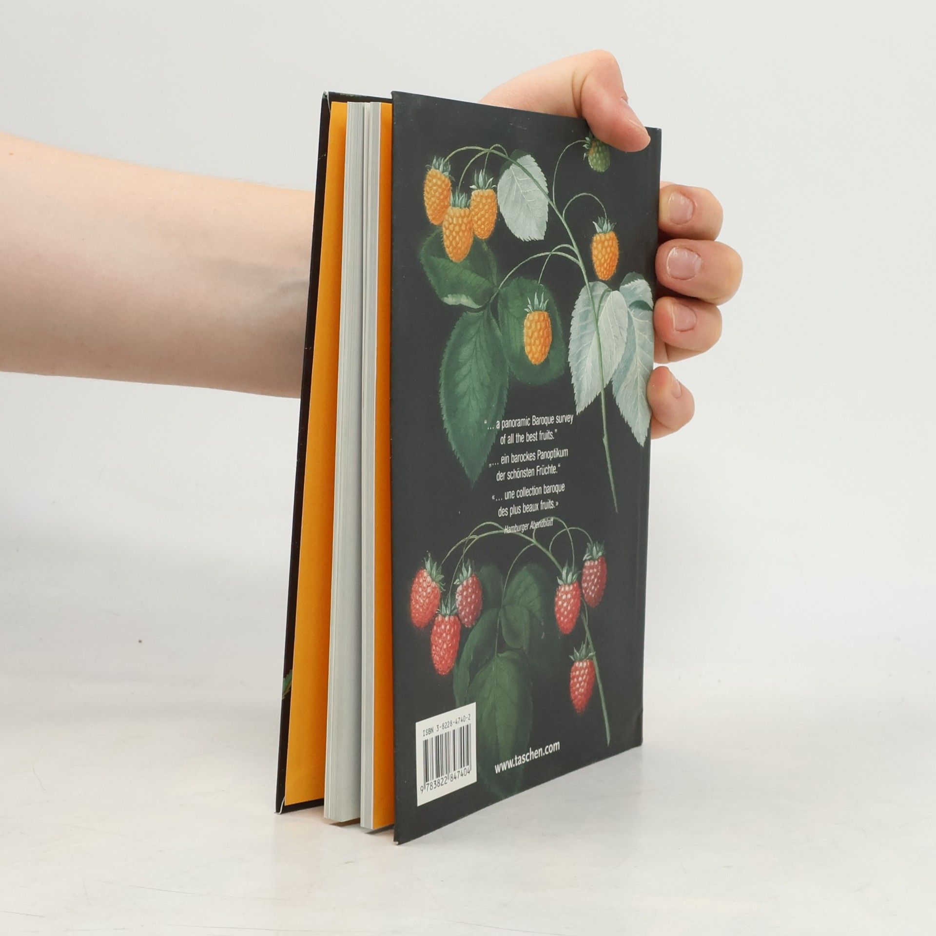 Petra LamersSchütze The book of fruits : The complete "Pomona Britannica"