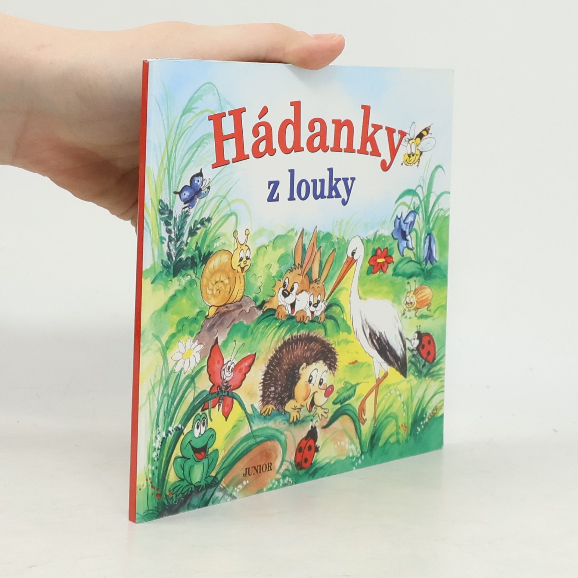 Zuzana Pospíšilová Hádanky z louky
