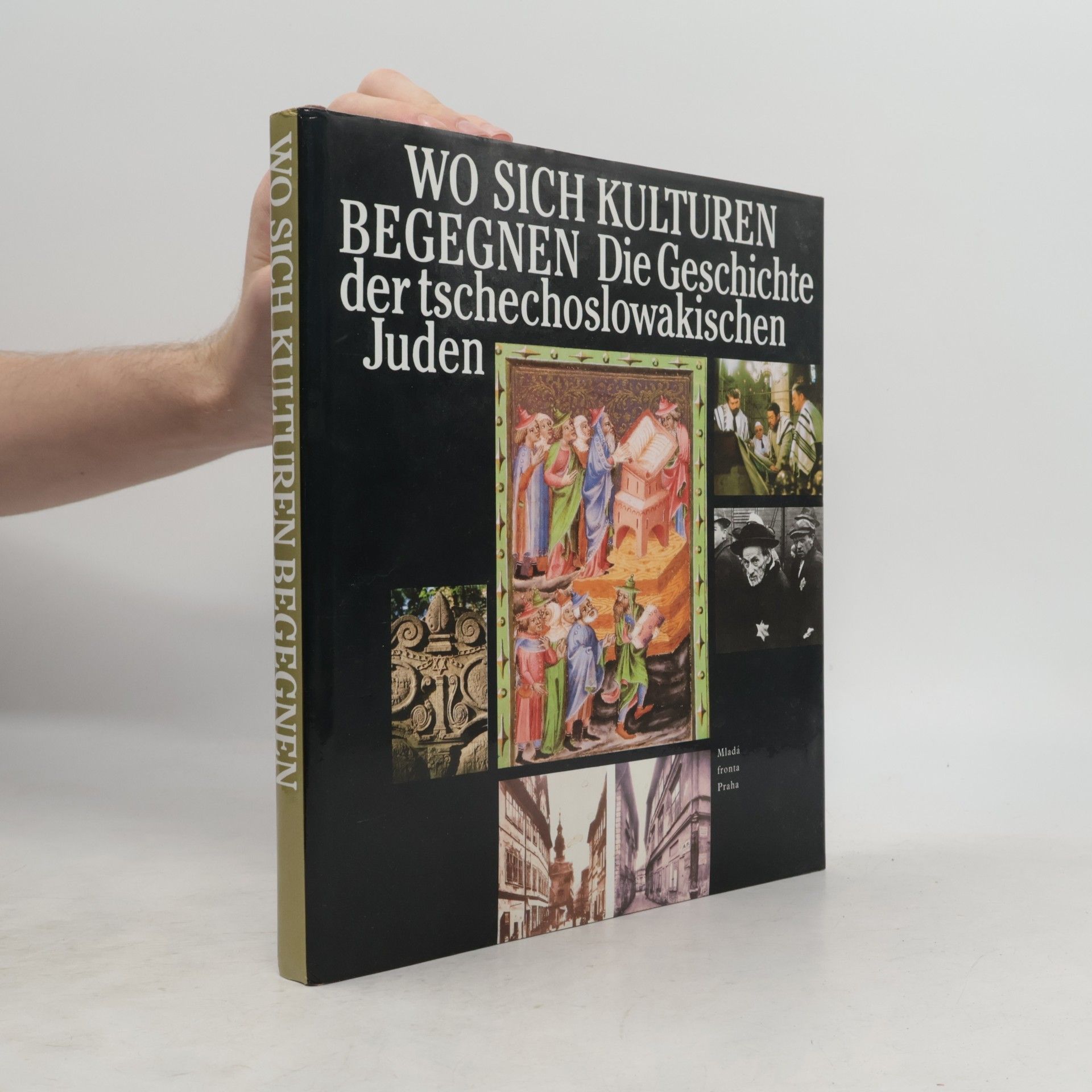 Wo sich Kulturen begegnen. Die Geschichte der tschechoslowakischen Juden