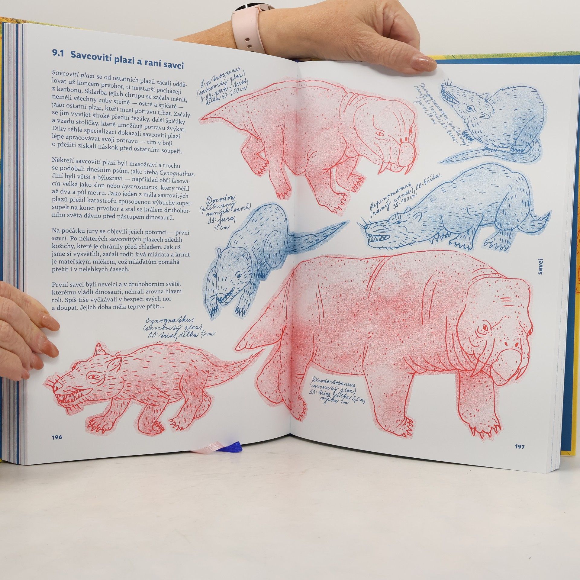 Barbora Müllerová Atlas opravdovských příšer - Bestiář evoluce živočichů