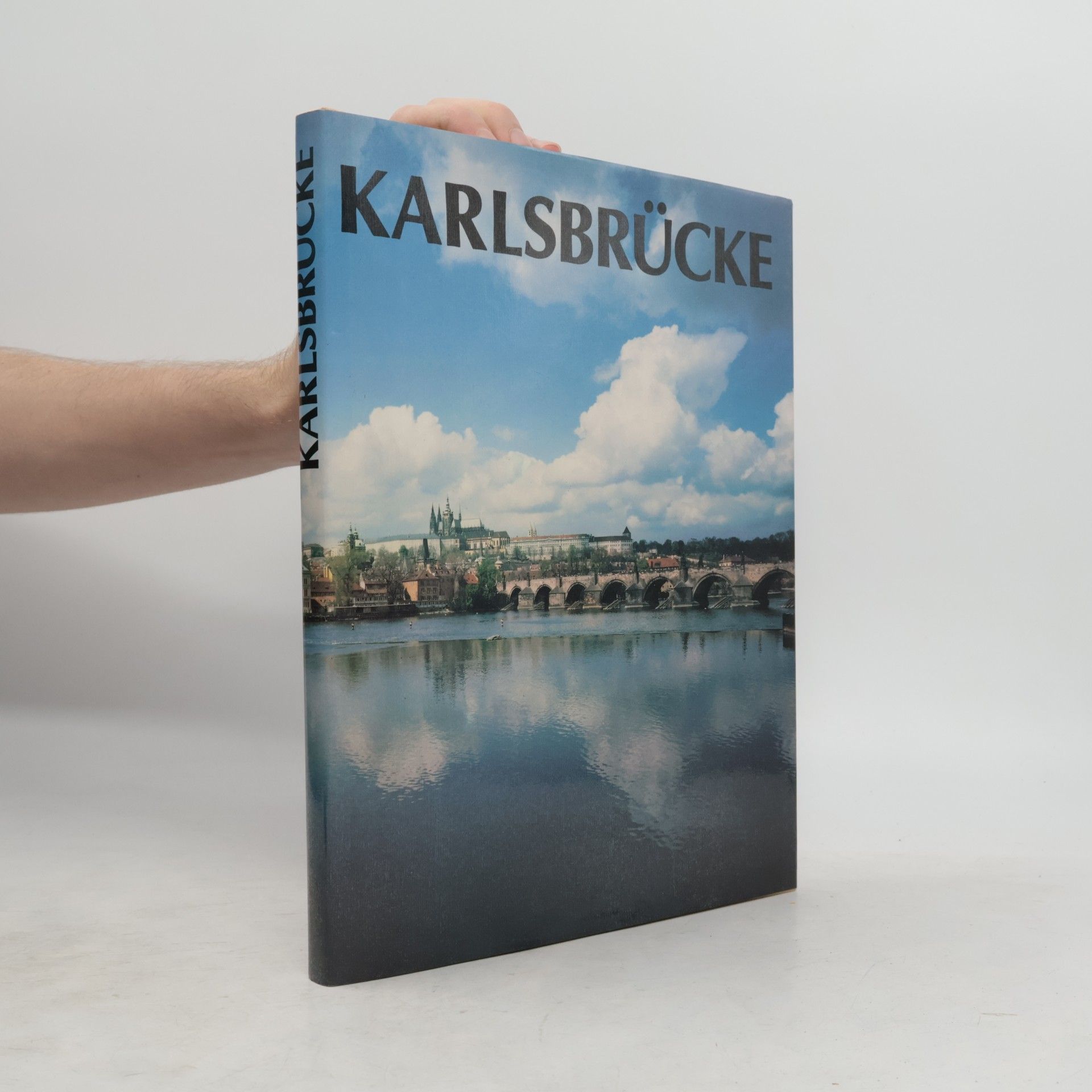 Karel Neubert Karlsbrücke
