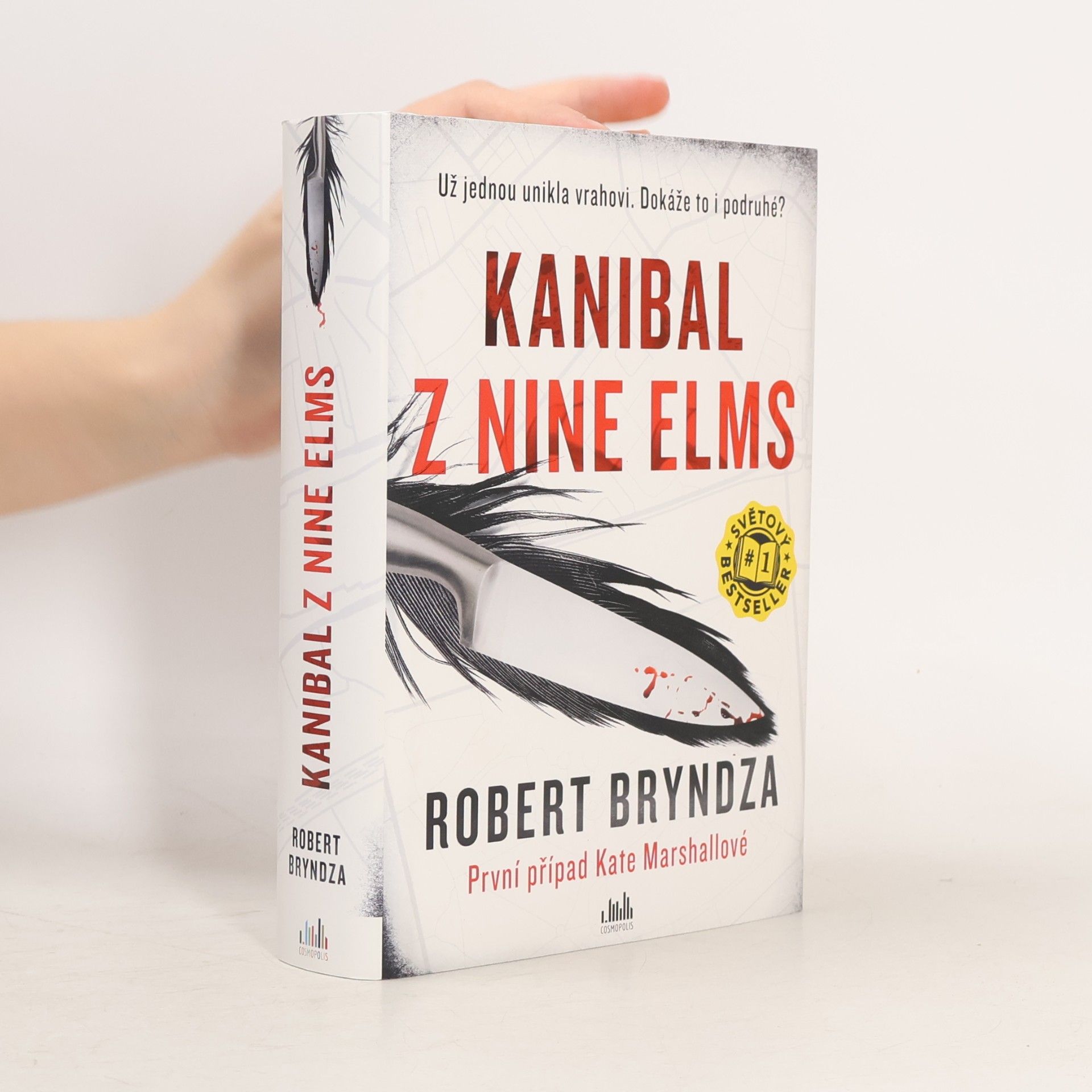 Robert Bryndza Kanibal z Nine Elms