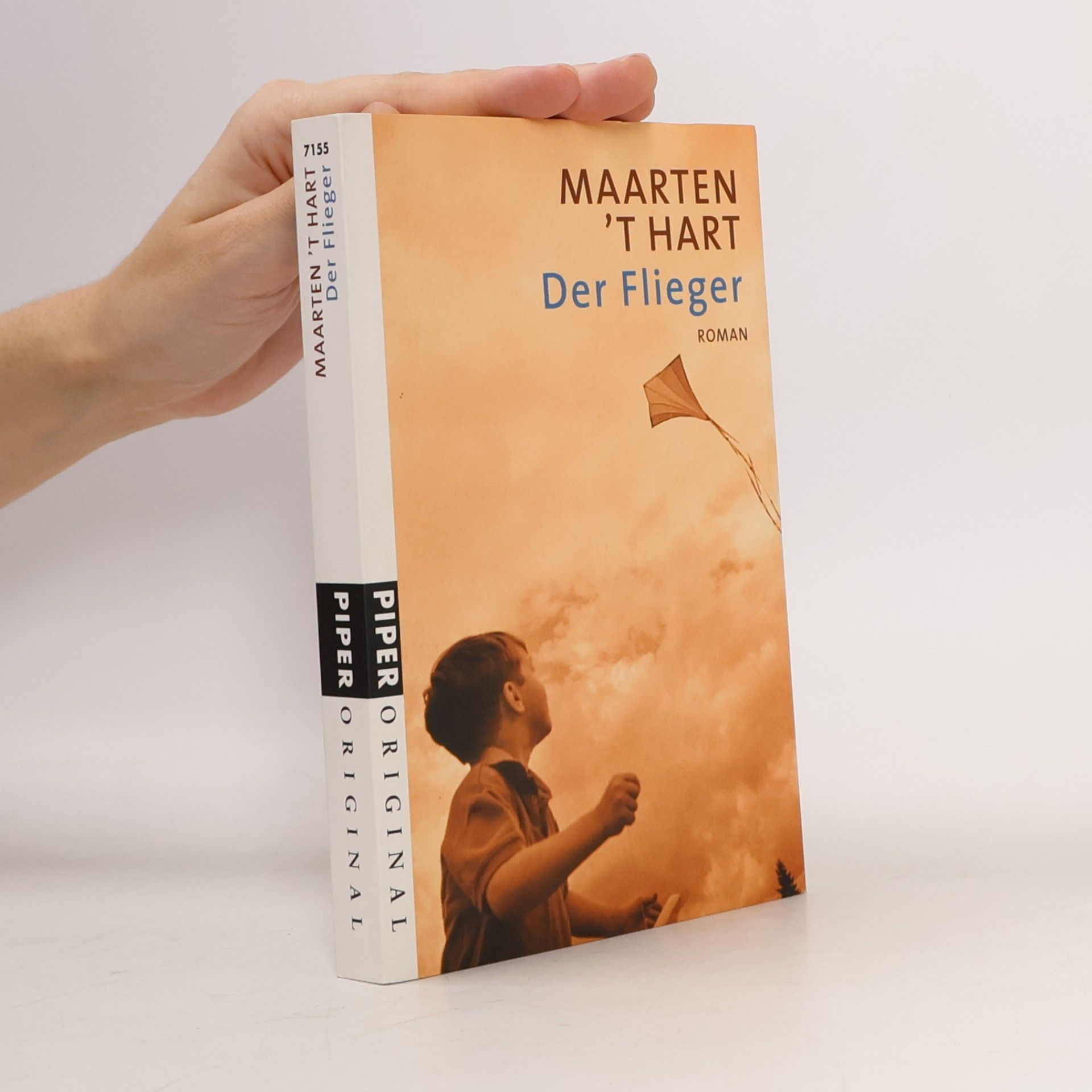 Maarten 't Hart Der Flieger