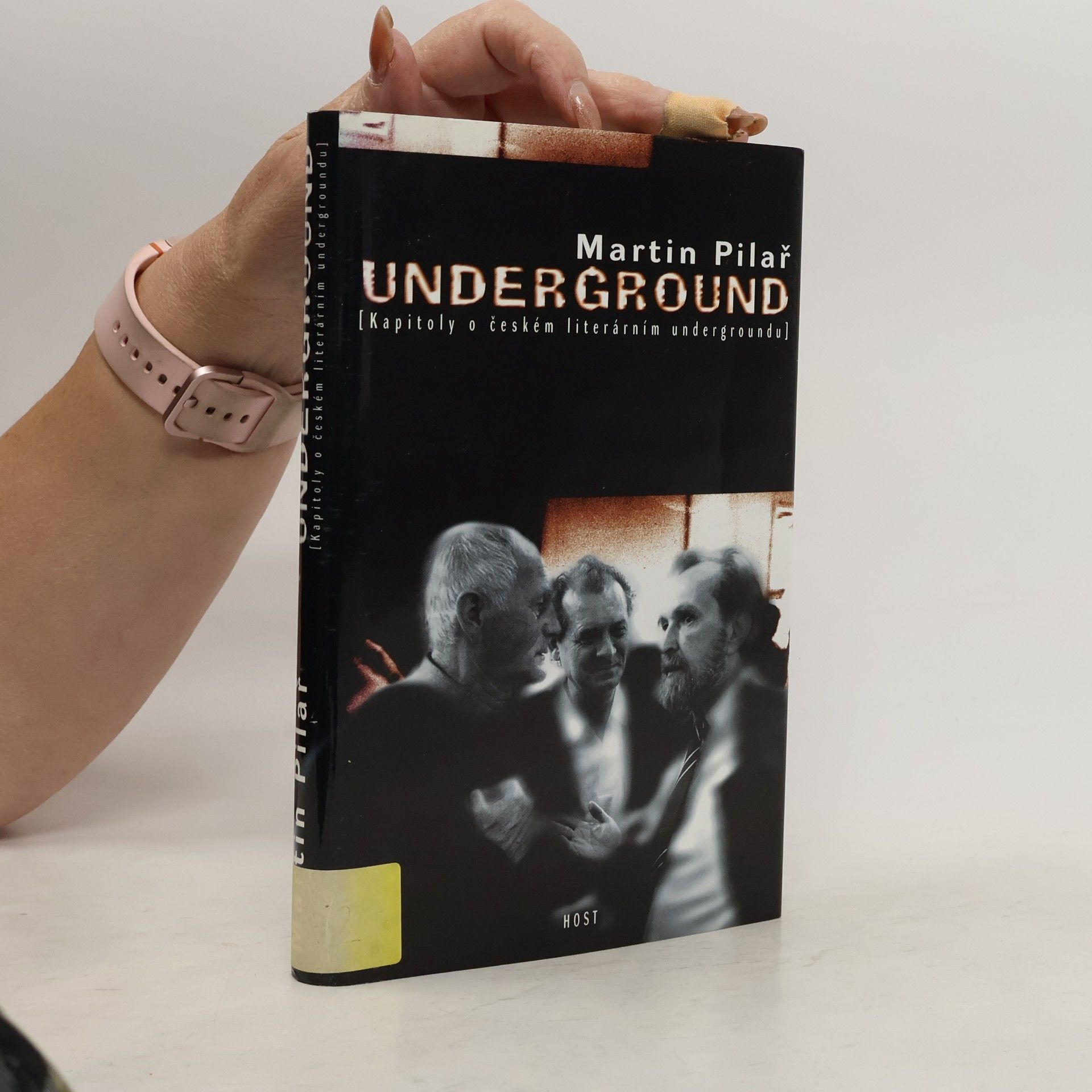 Martin Pilař Underground, Kapitoly o českém literárním undergroundu