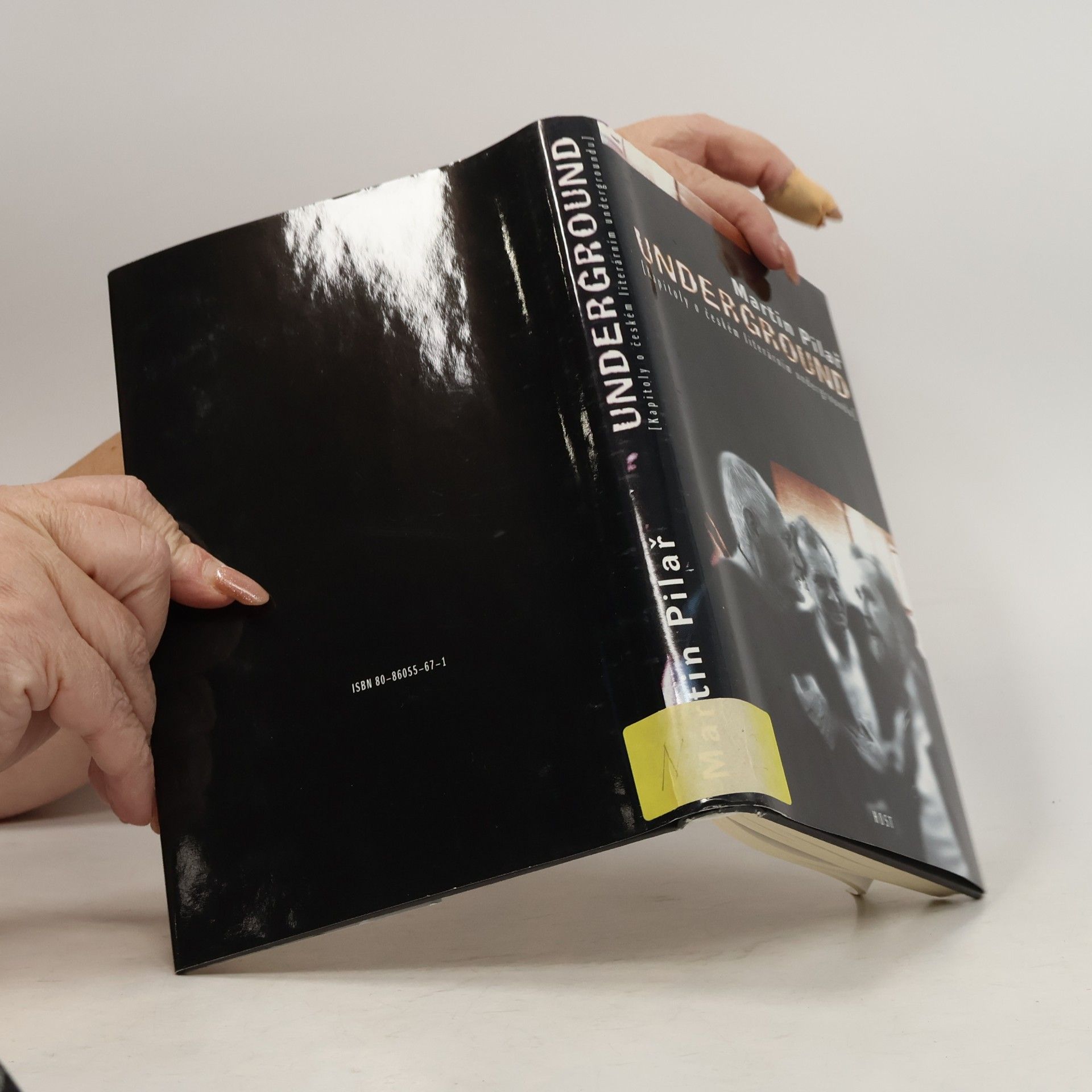 Martin Pilař Underground, Kapitoly o českém literárním undergroundu