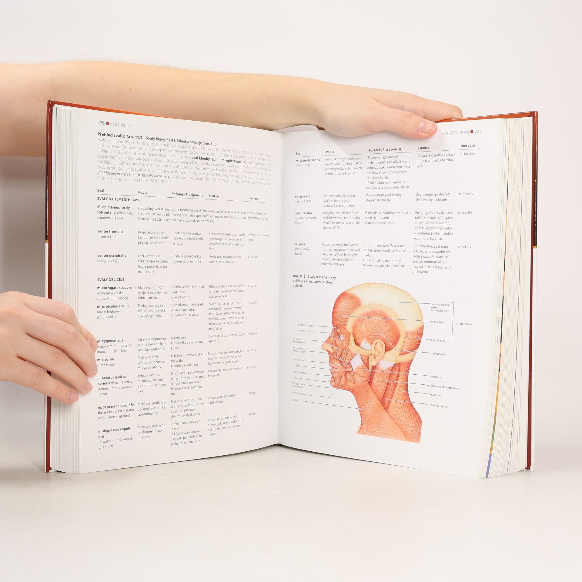 Elaine Nicpon Marieb Anatomie lidského těla