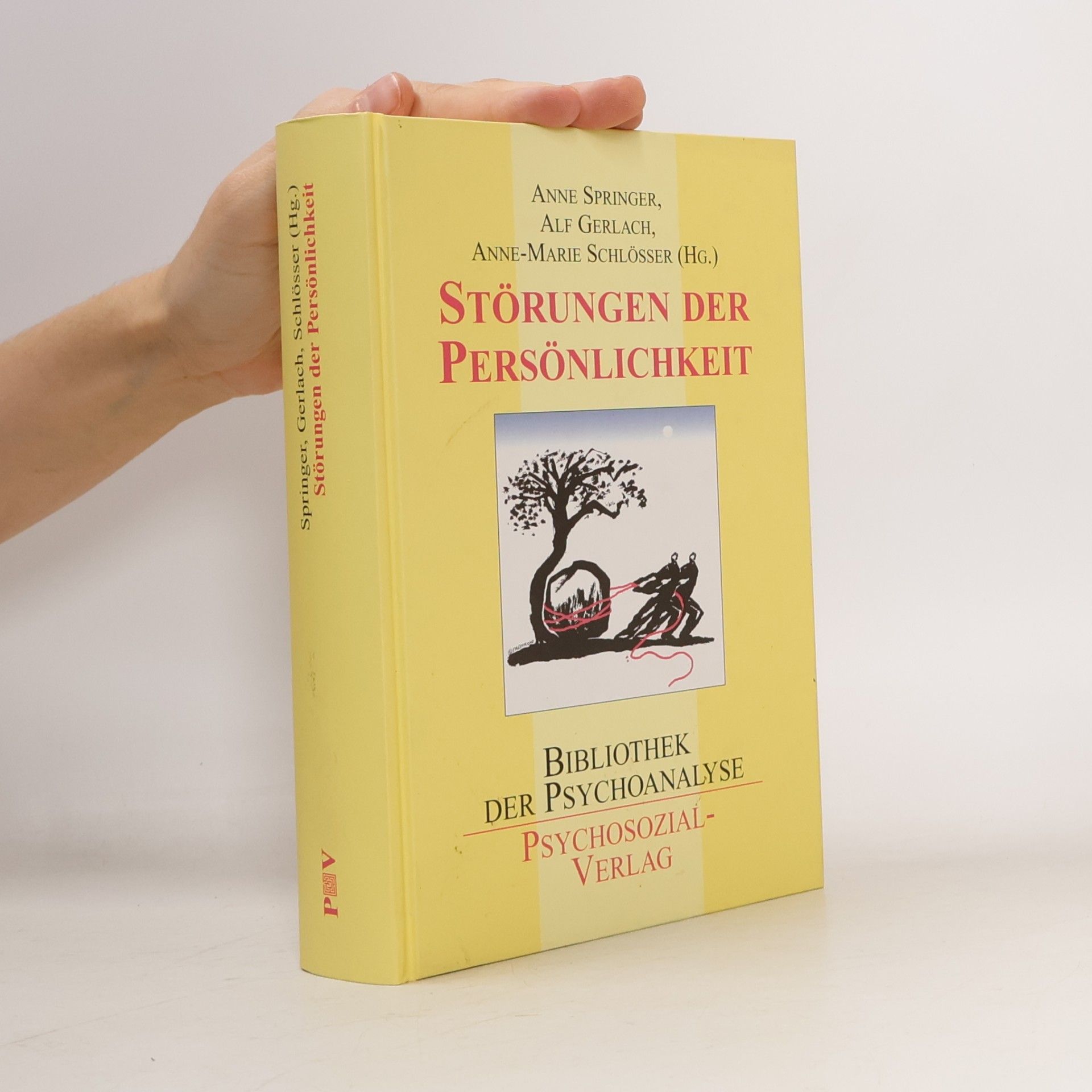 Anne Springer Störungen der Persönlichkeit