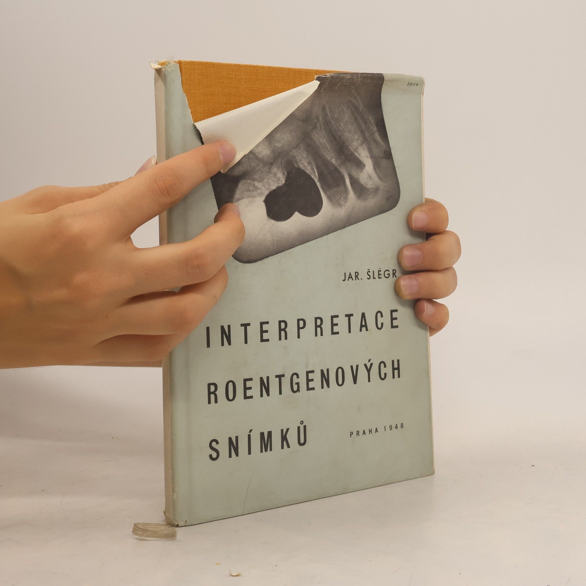 Jaroslav Šlégr Interpretace roentgenových snímků
