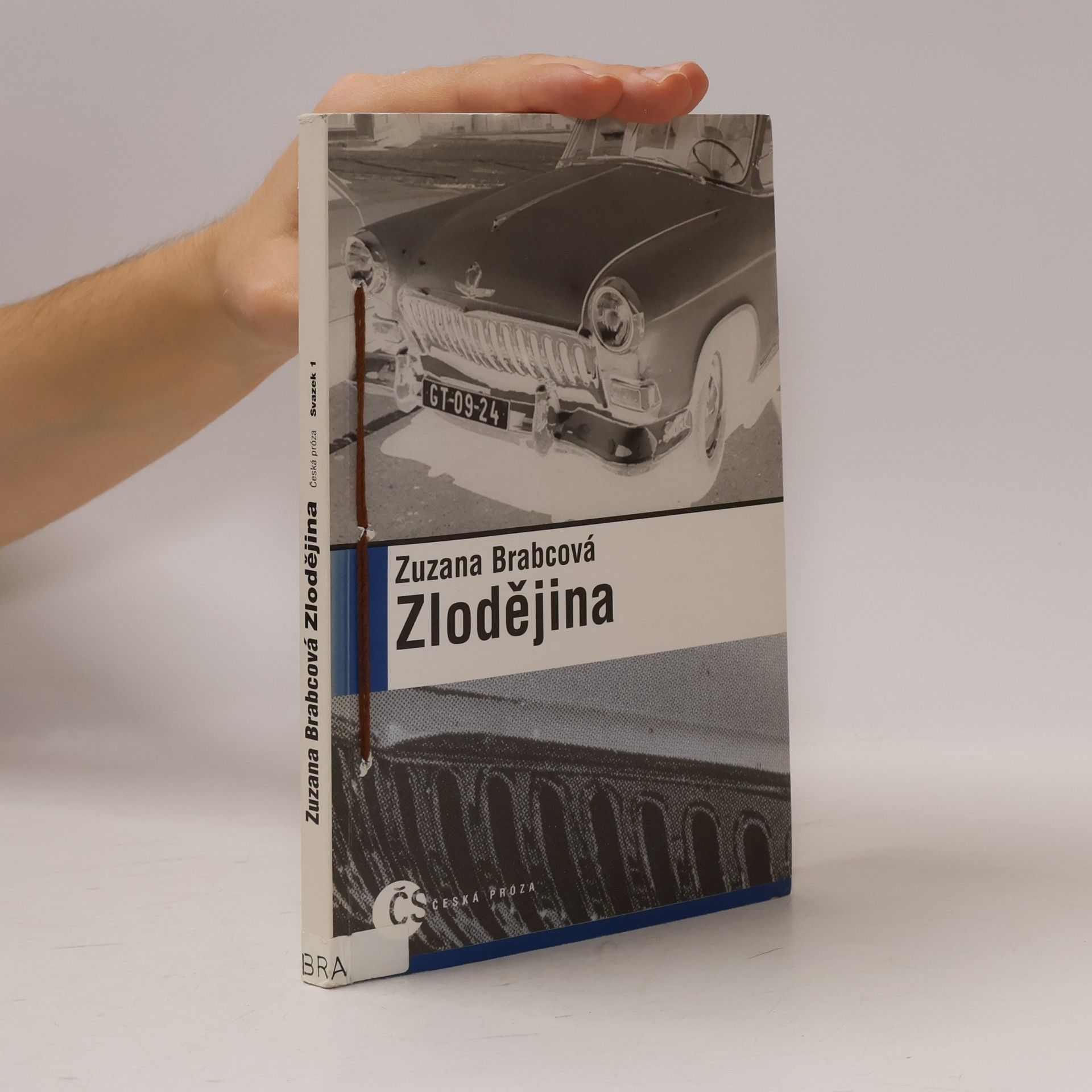 Zlodějina