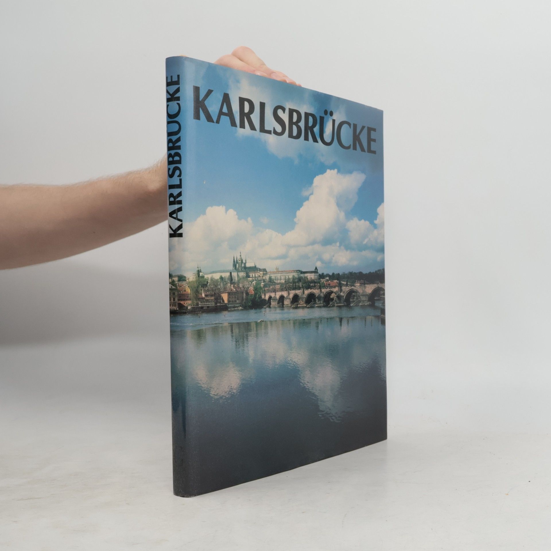 Karel Neubert Karlsbrücke
