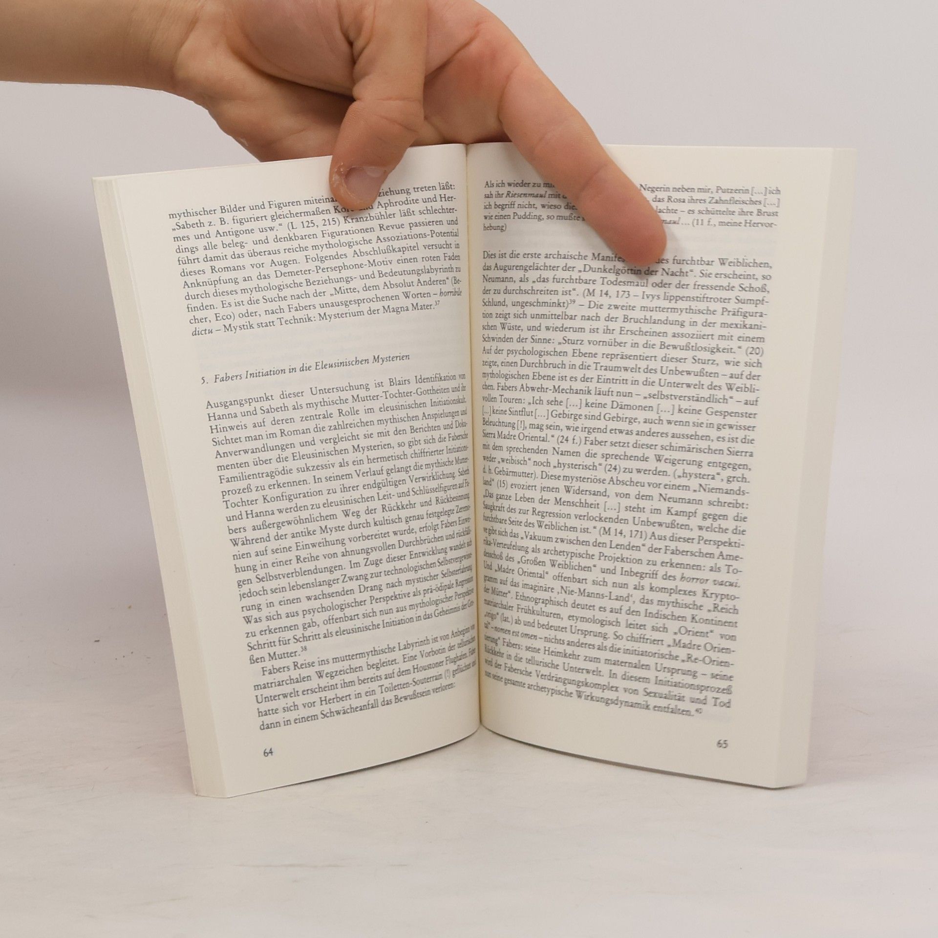 Frederick A. Lubich Max Frisch 'Stiller', 'Homo Faber' und 'Mein Name sei Gantenbein'