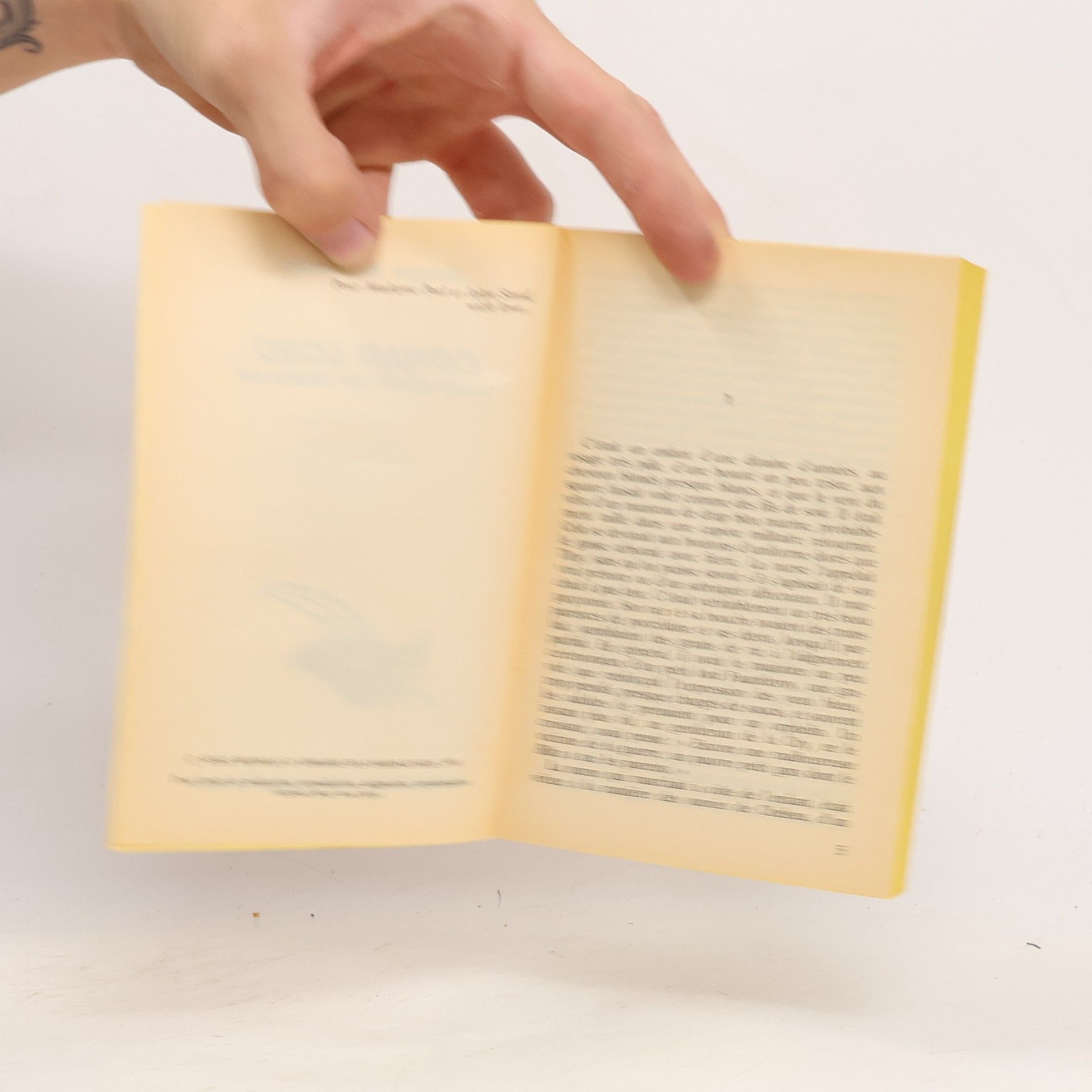 Serge Brussolo Conan Lord. Carnets secrets d'un cambrioleur