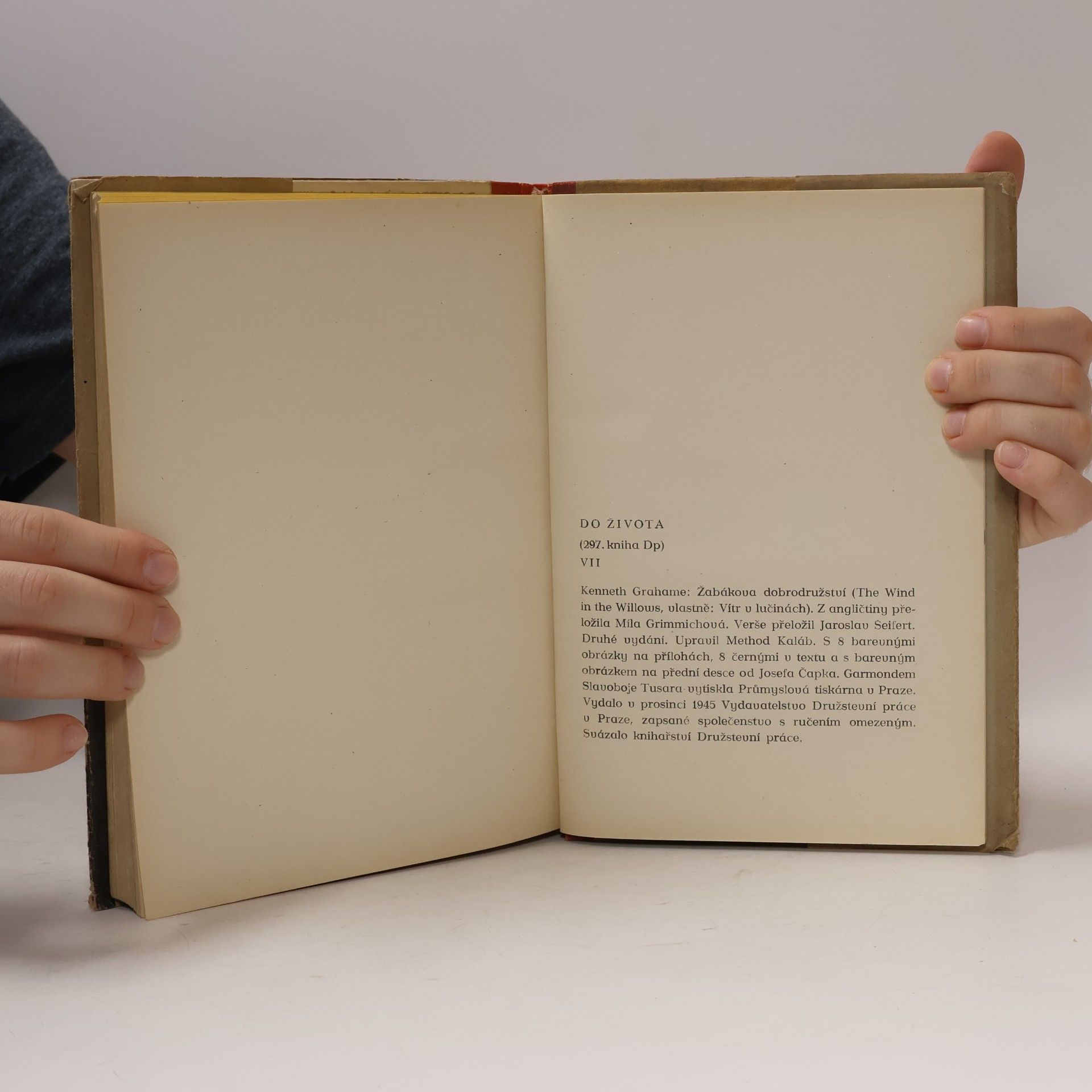 Kenneth Grahame Žabákova dobrodružství