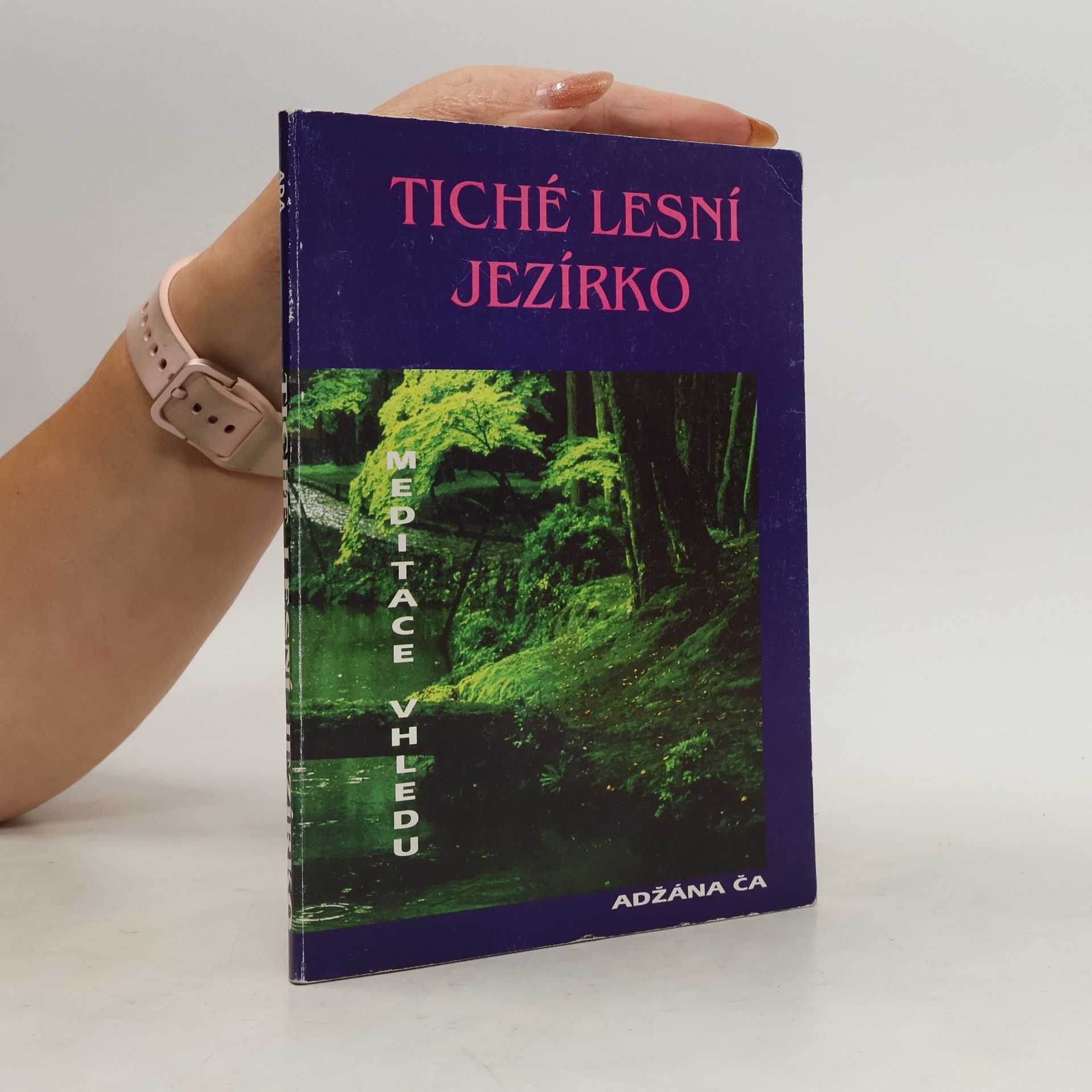 Paul Breiter Tiché lesní jezírko. Meditace vhledu učitele Adžána Ča