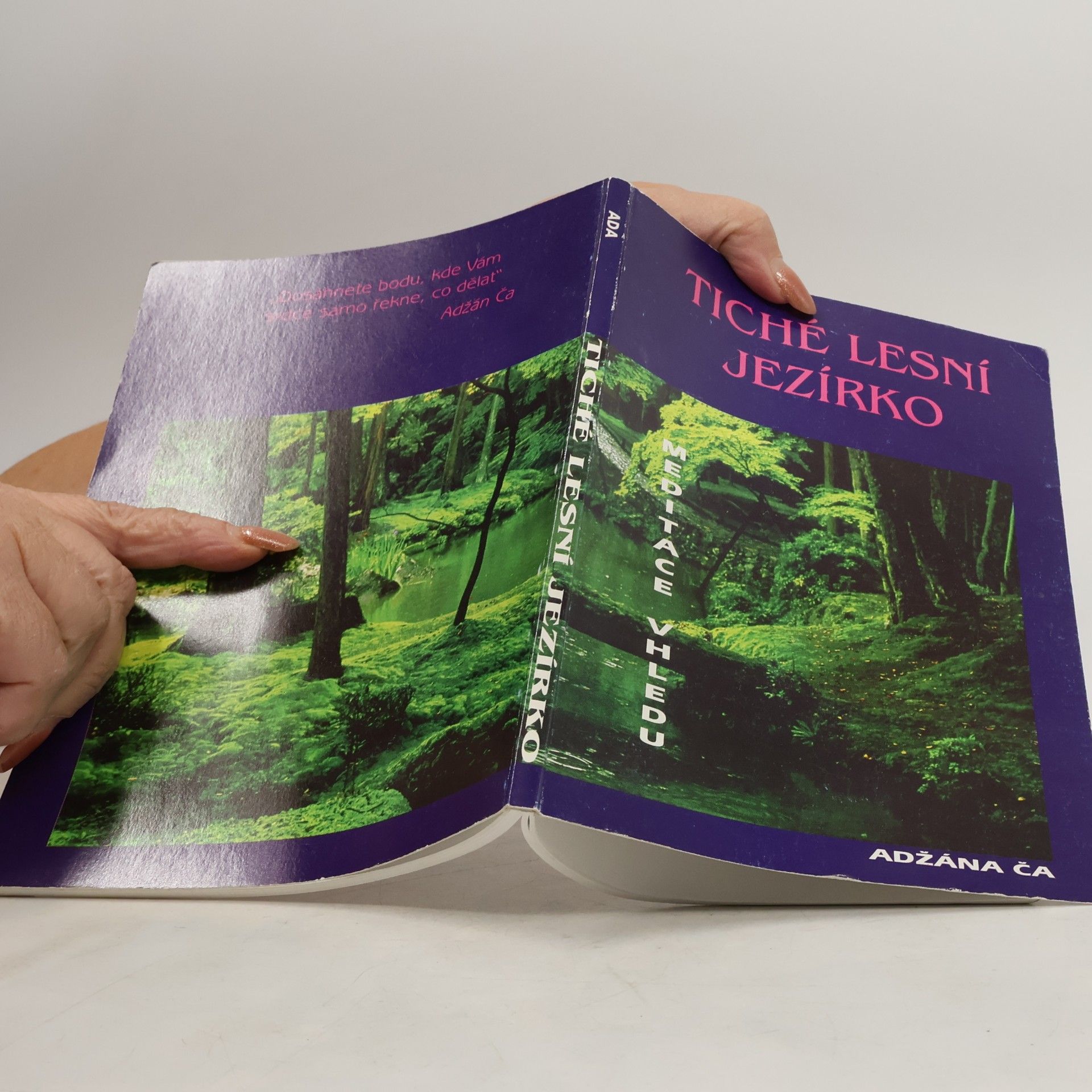 Adžán Čá Tiché lesní jezírko. Meditace vhledu učitele Adžána Ča