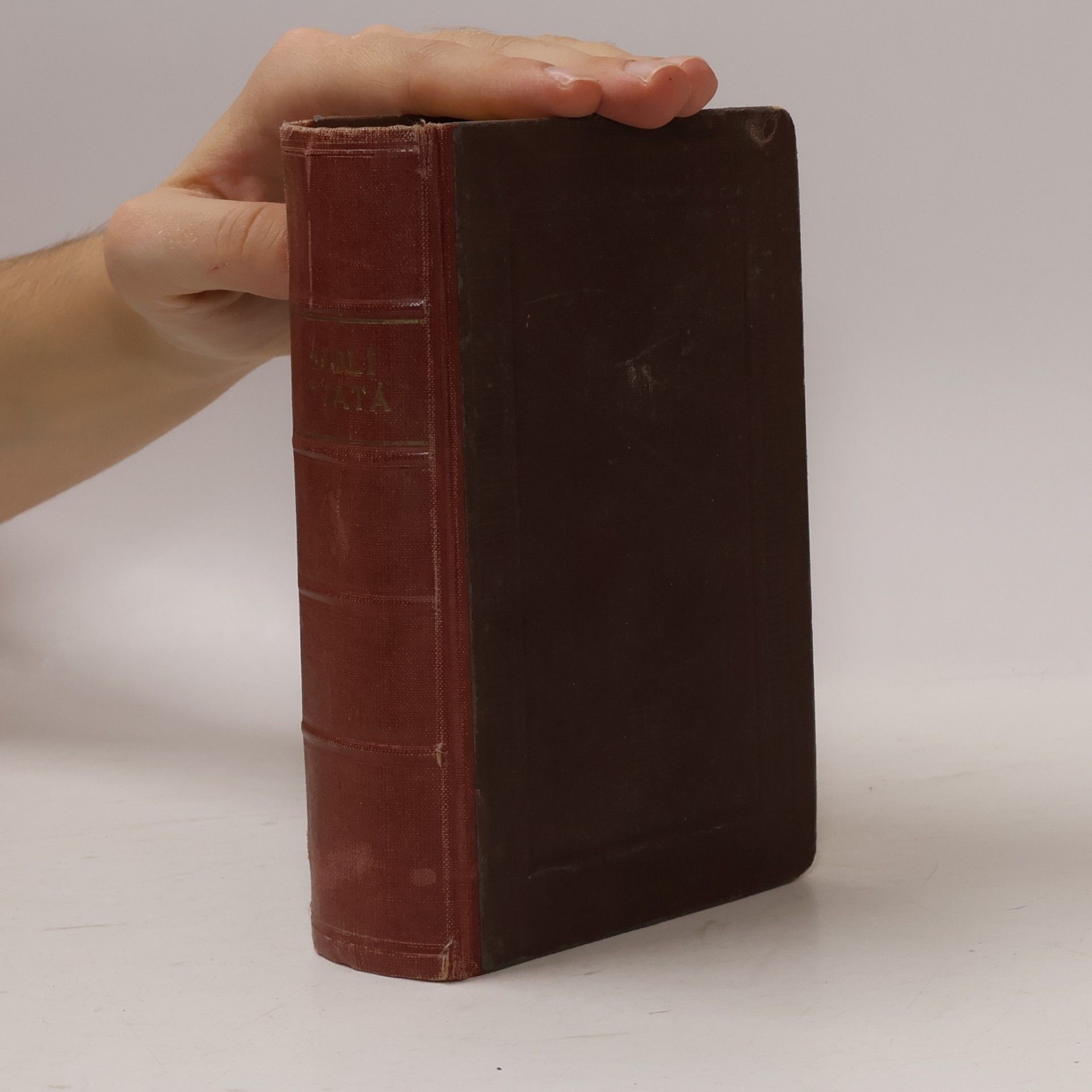 kolektiv Biblí svatá