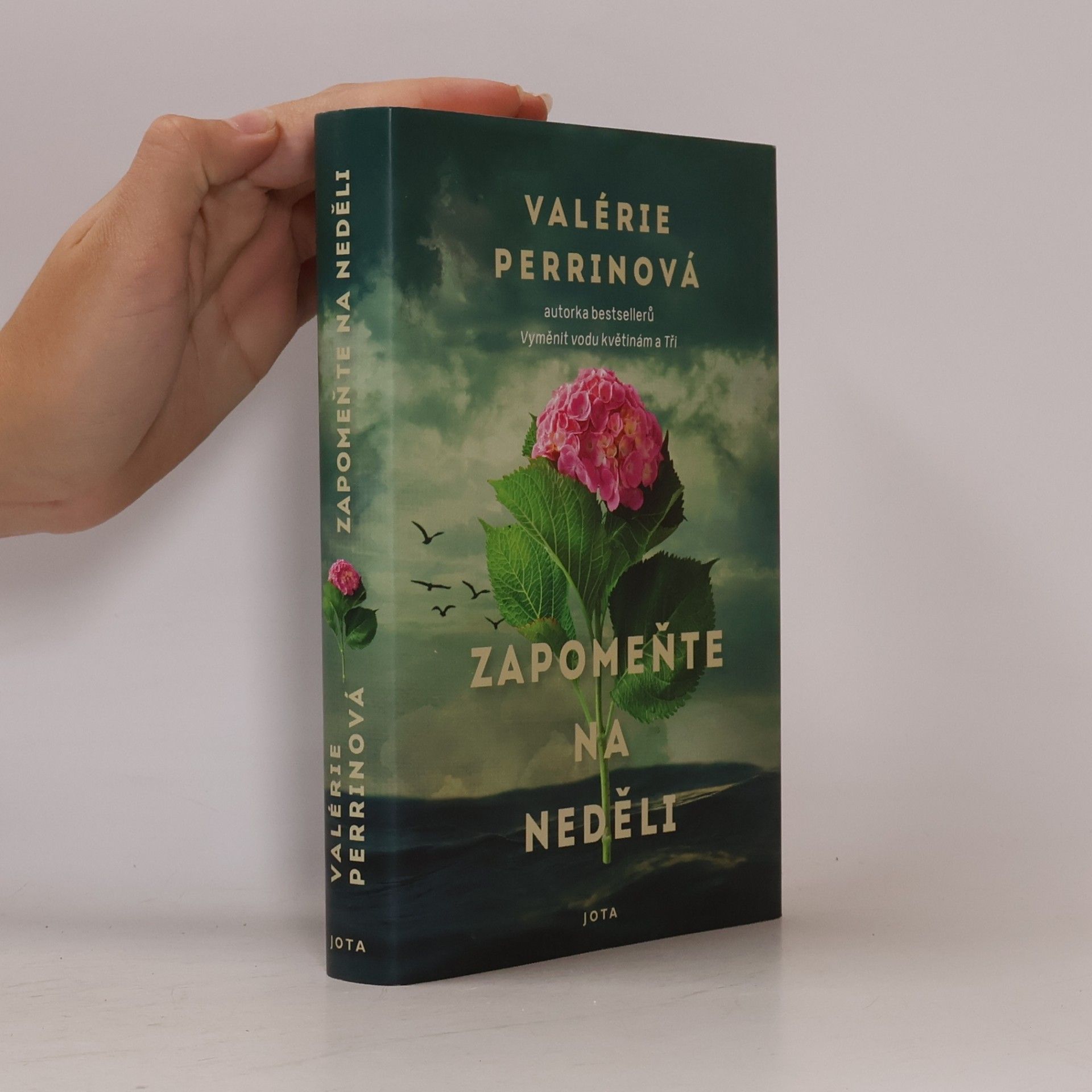 Valérie Perrin Zapomeňte na neděli