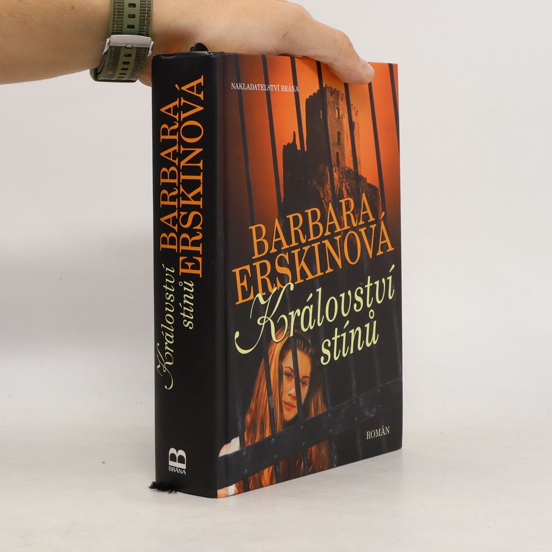 Barbara Erskinová Království stínů : román