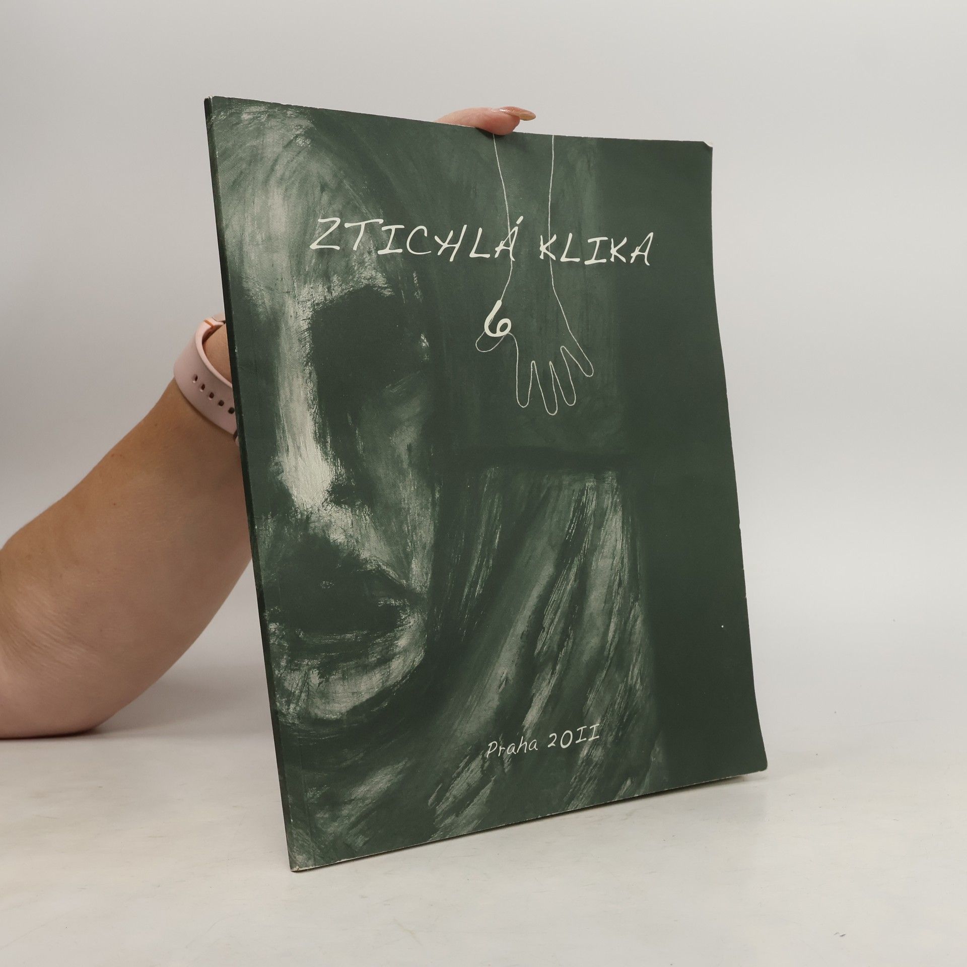 Luis Miguel Vilca Vargas Ztichlá klika 6