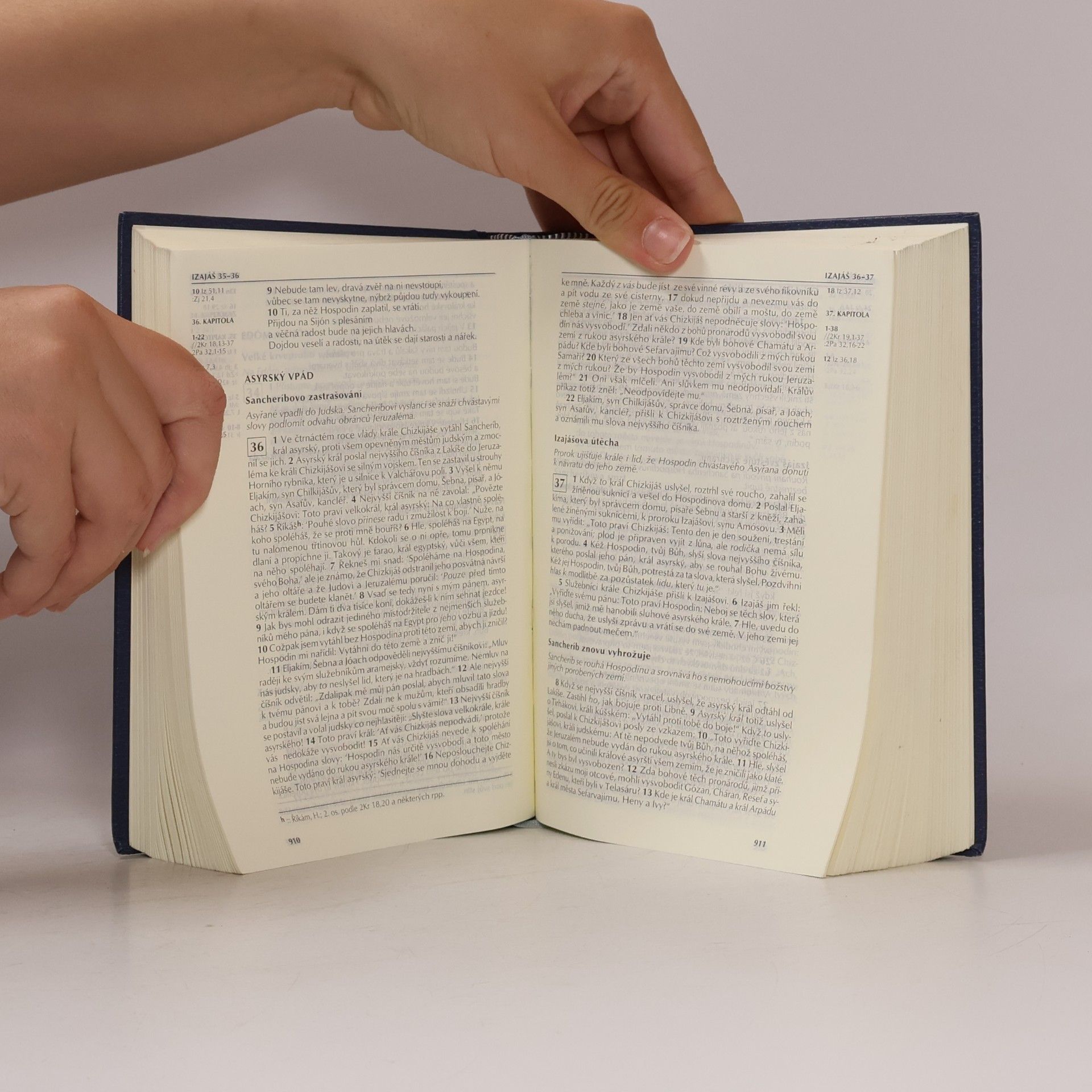 Kolektiv autorů Bible : Písmo svaté Starého a Nového zákona (včetně deuterokanonických knih)