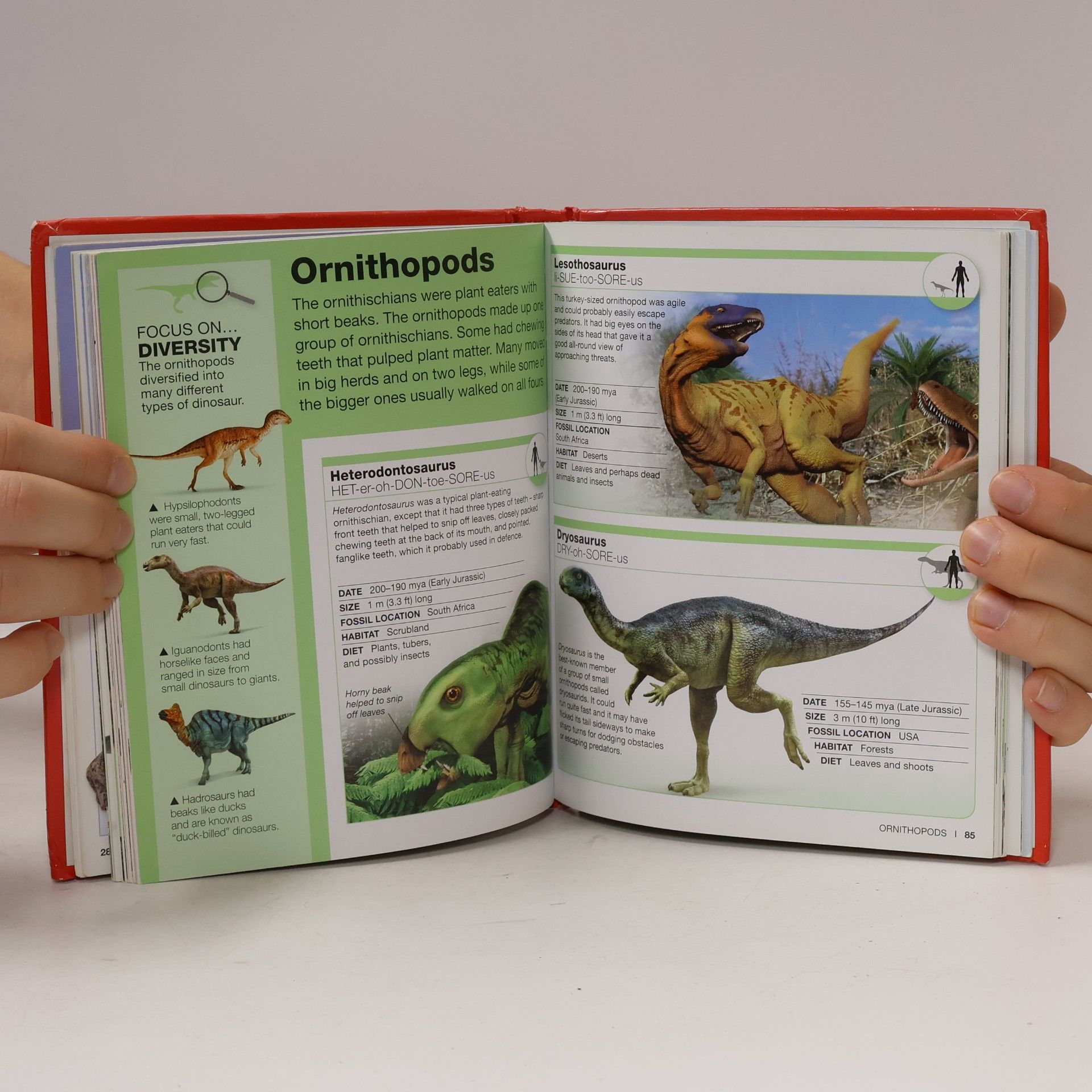 Dorling Kindersley Publishing Staff Pocket Eyewitness: Dinosaurs