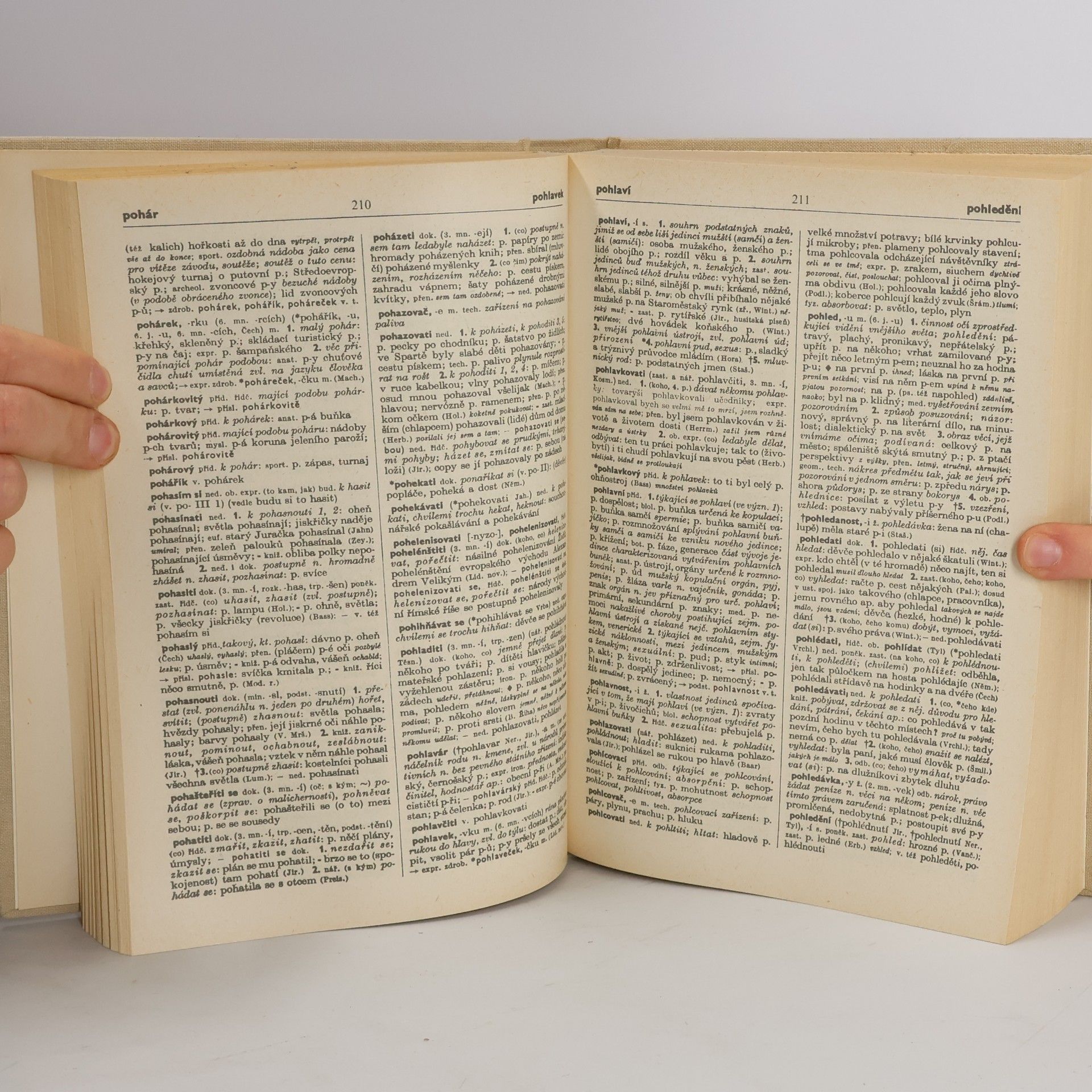 Autorenkollektiv Slovník spisovného jazyka českého IV. P-Q