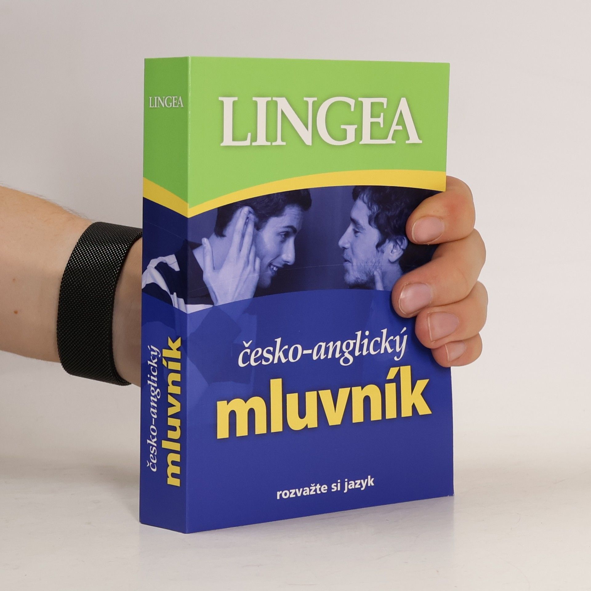 Autorenkollektiv Česko-anglický mluvník