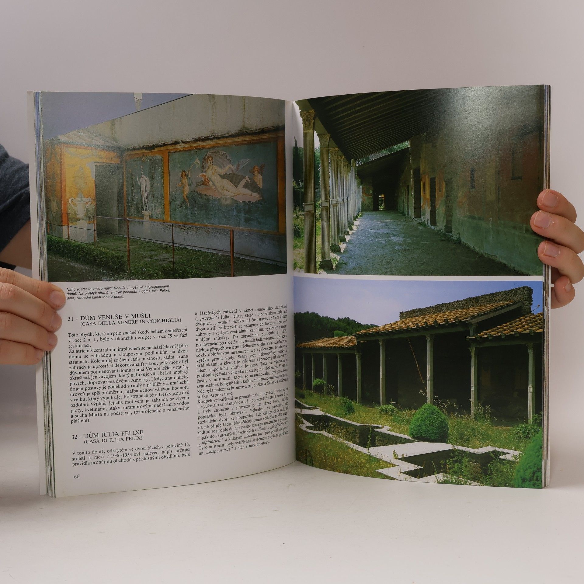 Stefano Giuntoli Umění a historie Pompejí