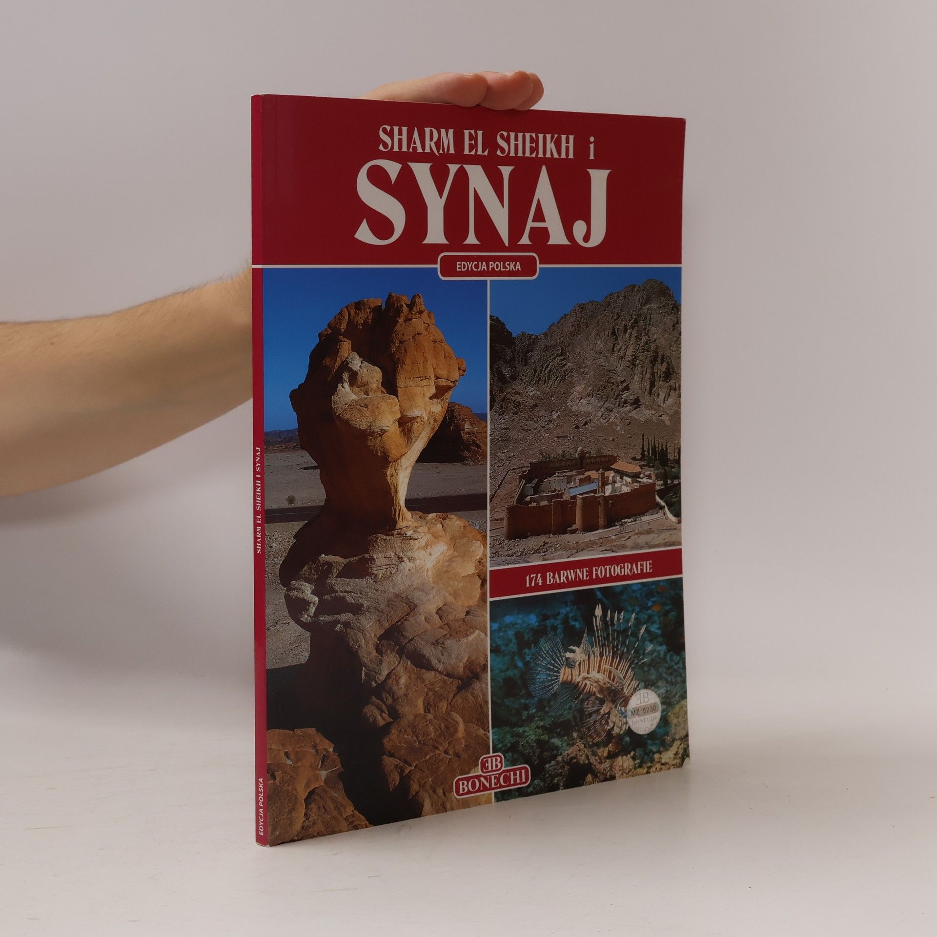 Giovanna Magi Sharm el Sheikh e il Sinai. Ediz. polacca