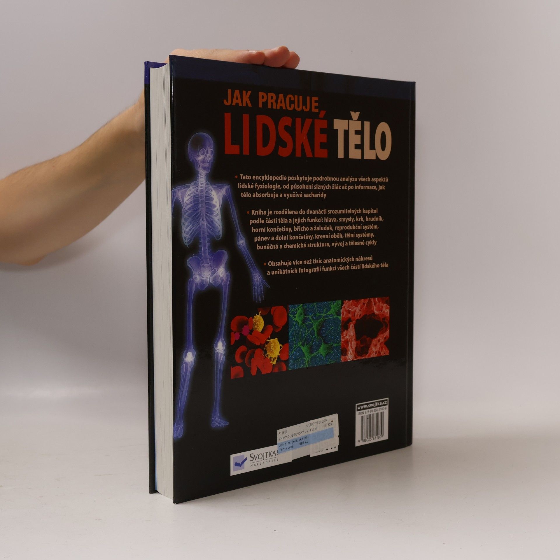 Peter Abrahams Jak pracuje lidské tělo