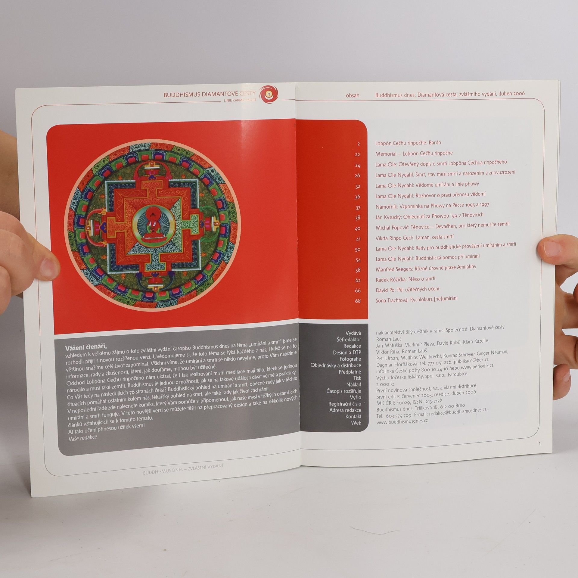 Lobpon Rinpoche Umírání a smrt z pohledu buddhismu diamantové cesty