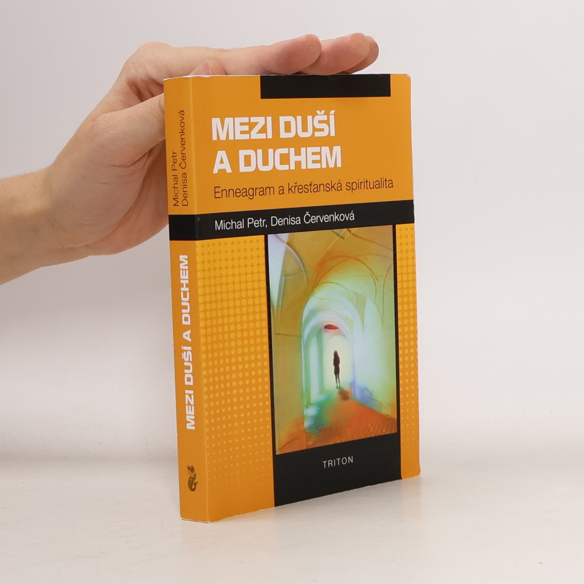 Michal Petr Mezi duší a duchem. Enneagram a křesťanská spiritualita.
