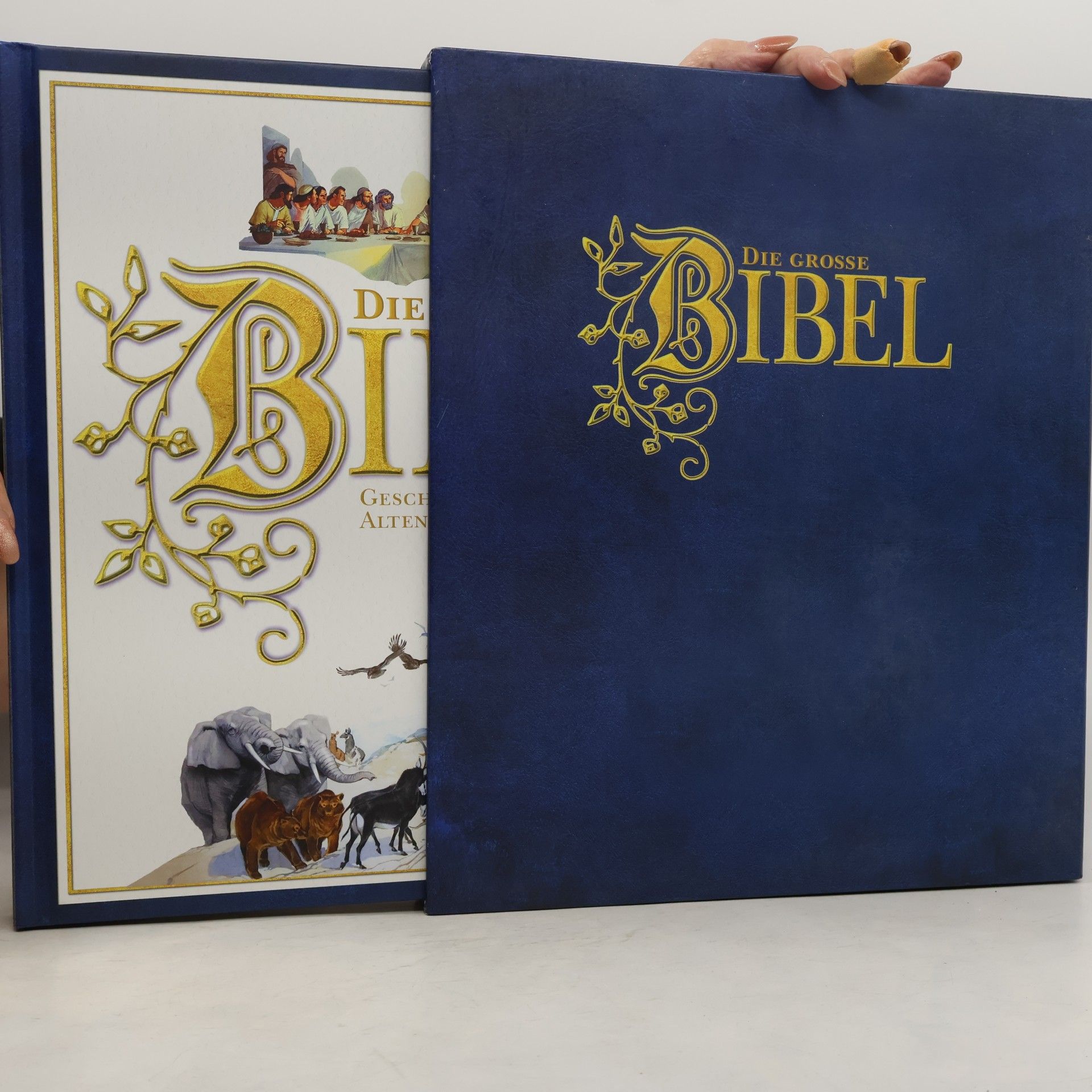 James Harpur Die große Bibel