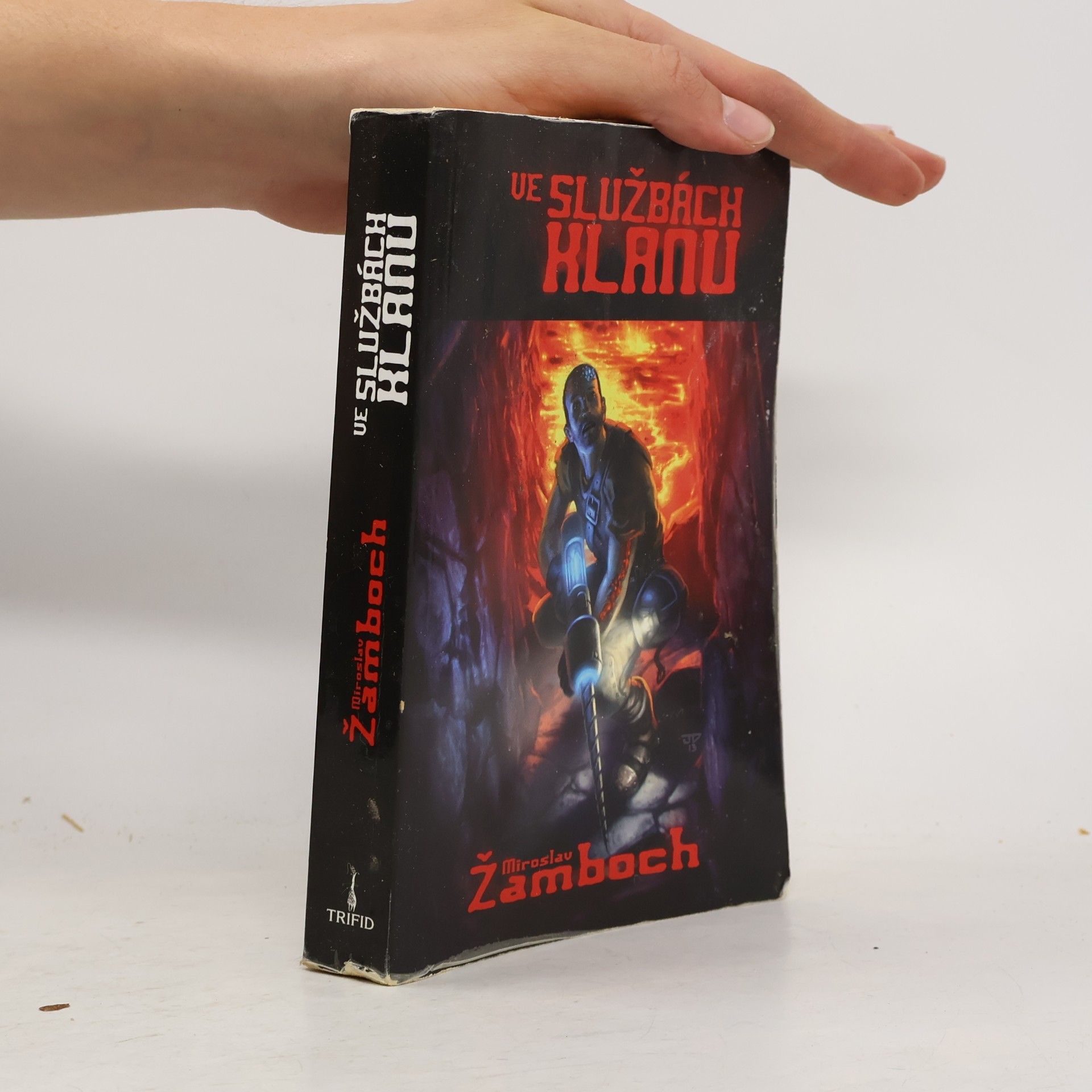 Miroslav Žamboch Ve službách klanu
