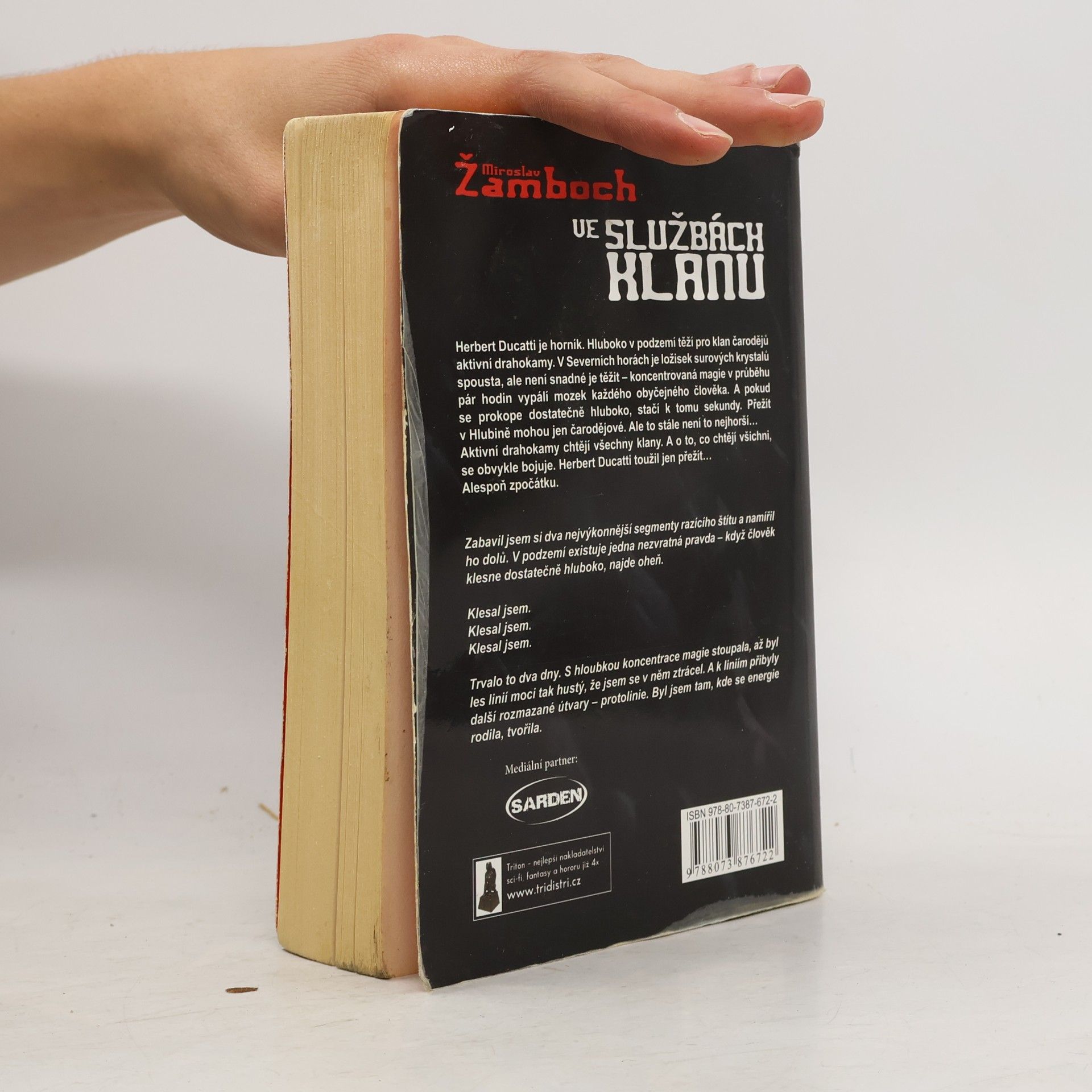Miroslav Žamboch Ve službách klanu